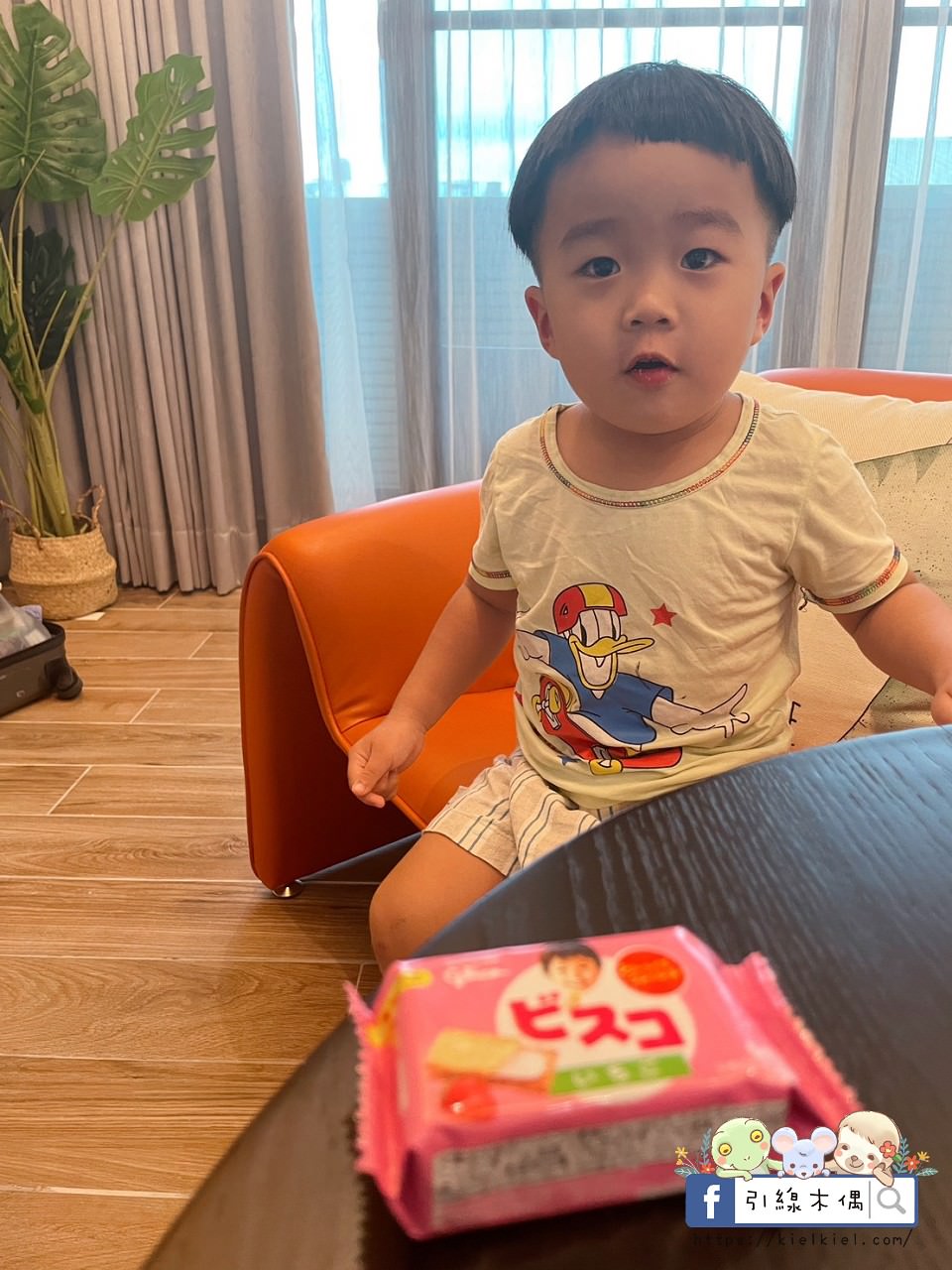 【台南住宿】龍滴家民宿-藝術妝點居家，譜寫與龍朋友的溫馨絮語。2023全新開幕中西區民宿，近市區多景點，生活機能便利。