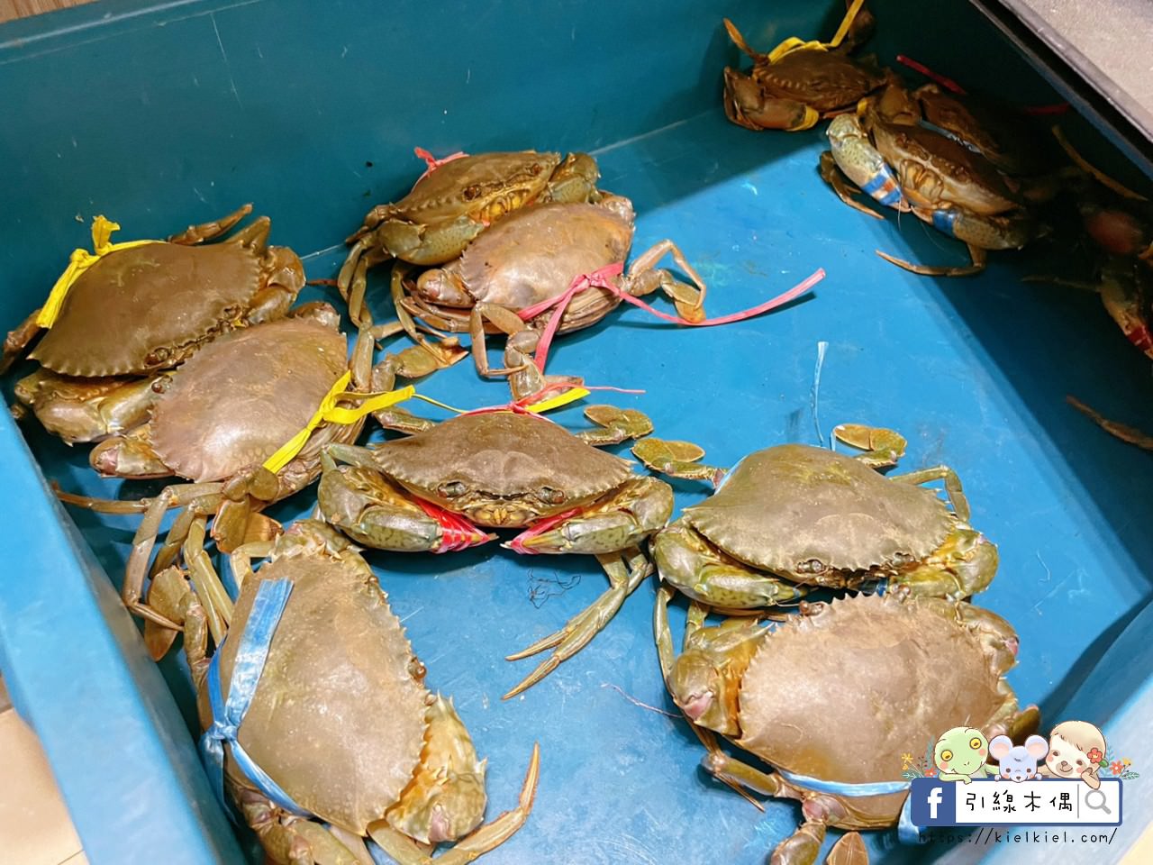【嘉義美食】六上米砂鍋粥-深夜煨粥解酒暖，秘藏堅果醬入粥，紅蟳蟹膏飽豔鮮，綿密品嚐粥食柔。1