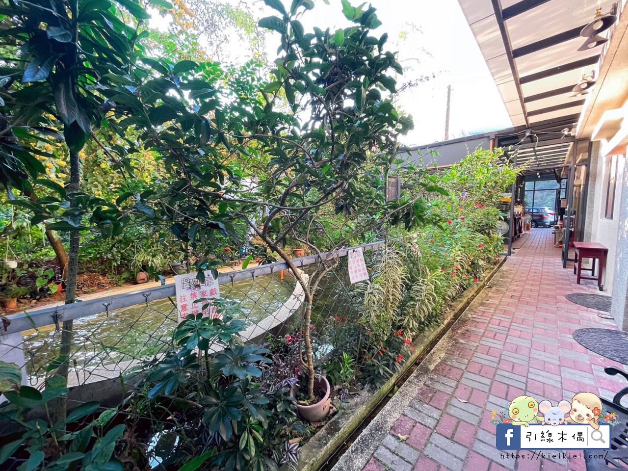【南投住宿】埔里觀瀑渡假民宿-貓與瀑布的森呼吸旅宿,山嵐環繞美景,戲水池、KTV、餵魚、烤肉玩透透。 - 第23張圖 【南投住宿】埔里觀瀑渡假民宿-貓與瀑布的森呼吸旅宿,山嵐環繞美景,戲水池、KTV、餵魚、烤肉玩透透。
