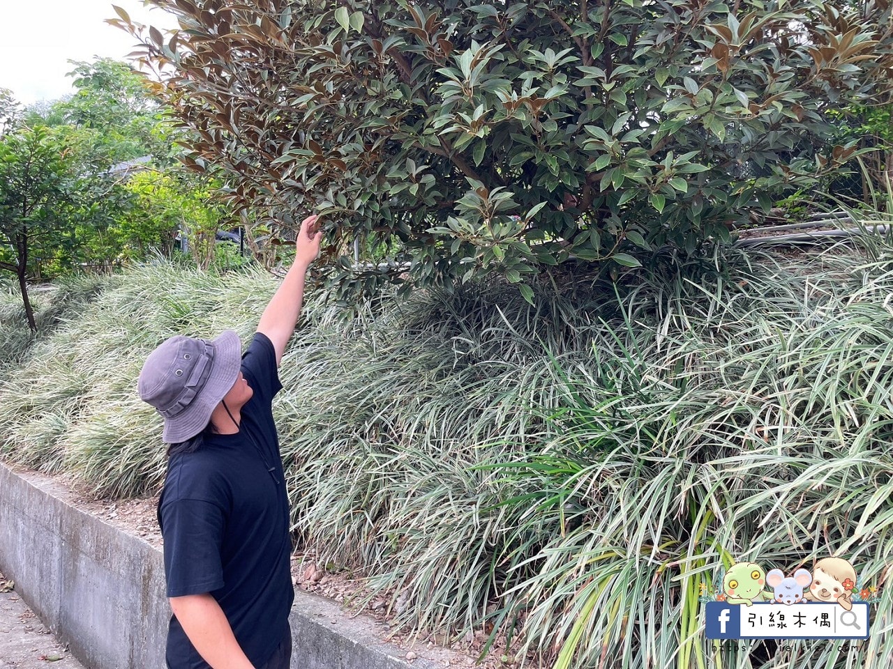 【宜蘭住宿】懶在星空下的夢境—宜蘭鷗漫景觀農場,與百萬夜景共眠的詩意露營。自搭帳篷、懶人帳、露營車、景觀屋,有免治馬桶的超優露營地。 - 第34張圖 【宜蘭住宿】懶在星空下的夢境—宜蘭鷗漫景觀農場,與百萬夜景共眠的詩意露營。自搭帳篷、懶人帳、露營車、景觀屋,有免治馬桶的超優露營地。