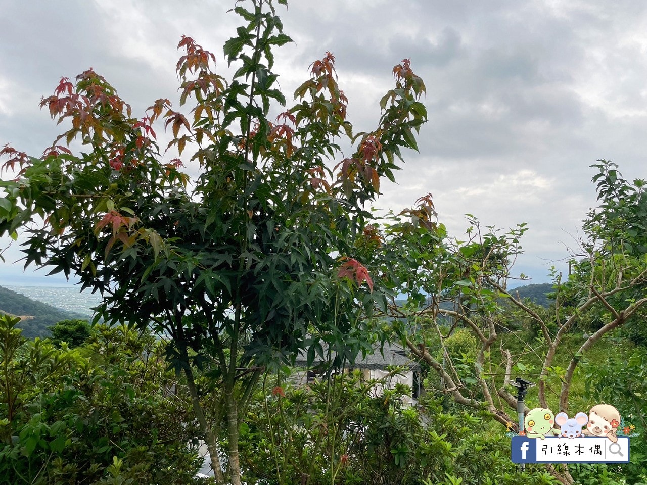 【宜蘭住宿】懶在星空下的夢境—宜蘭鷗漫景觀農場,與百萬夜景共眠的詩意露營。自搭帳篷、懶人帳、露營車、景觀屋,有免治馬桶的超優露營地。 - 第41張圖 【宜蘭住宿】懶在星空下的夢境—宜蘭鷗漫景觀農場,與百萬夜景共眠的詩意露營。自搭帳篷、懶人帳、露營車、景觀屋,有免治馬桶的超優露營地。