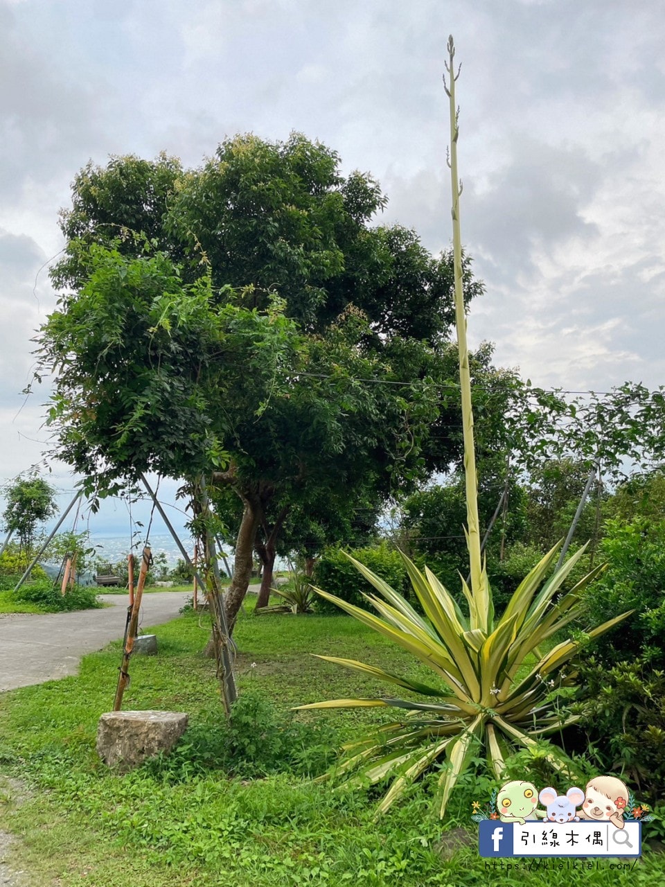 【宜蘭住宿】懶在星空下的夢境—宜蘭鷗漫景觀農場,與百萬夜景共眠的詩意露營。自搭帳篷、懶人帳、露營車、景觀屋,有免治馬桶的超優露營地。 - 第36張圖 【宜蘭住宿】懶在星空下的夢境—宜蘭鷗漫景觀農場,與百萬夜景共眠的詩意露營。自搭帳篷、懶人帳、露營車、景觀屋,有免治馬桶的超優露營地。