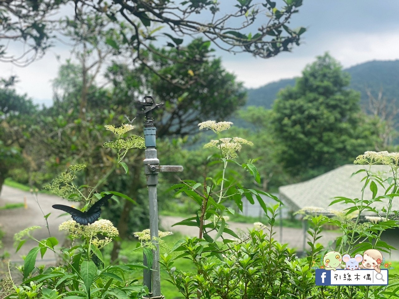 【宜蘭住宿】懶在星空下的夢境—宜蘭鷗漫景觀農場,與百萬夜景共眠的詩意露營。自搭帳篷、懶人帳、露營車、景觀屋,有免治馬桶的超優露營地。 - 第92張圖 【宜蘭住宿】懶在星空下的夢境—宜蘭鷗漫景觀農場,與百萬夜景共眠的詩意露營。自搭帳篷、懶人帳、露營車、景觀屋,有免治馬桶的超優露營地。