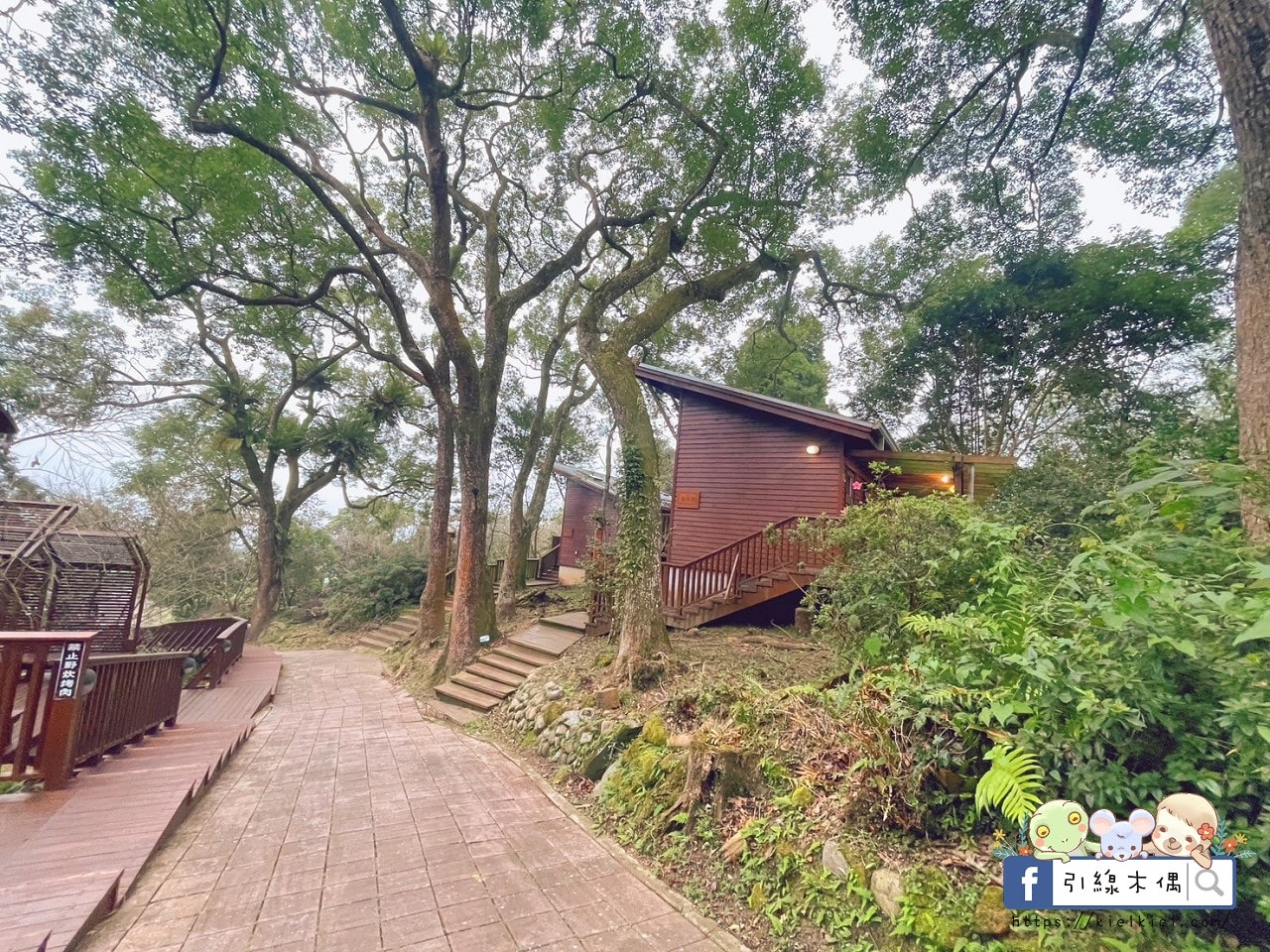 《鳳凰‧森之鳴》3大亮點全揭密!銀髮爸媽最愛!住一晚能看到幾種自然奇景?一泊二食+夜間導覽 - 第4張圖 《鳳凰‧森之鳴》3大亮點全揭密!銀髮爸媽最愛!住一晚能看到幾種自然奇景?一泊二食+夜間導覽