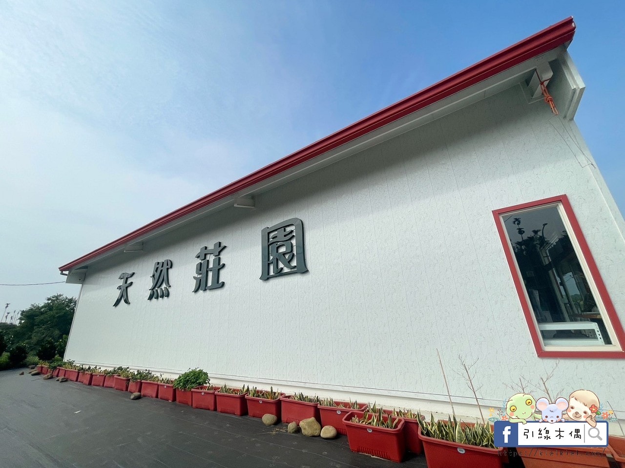 《天然莊園NTG》慢步阿里山,染一布自然,品一壺歲月。茶香與染色,寫下旅行的柔軟時光。 - 第5張圖 《天然莊園NTG》慢步阿里山,染一布自然,品一壺歲月。茶香與染色,寫下旅行的柔軟時光。