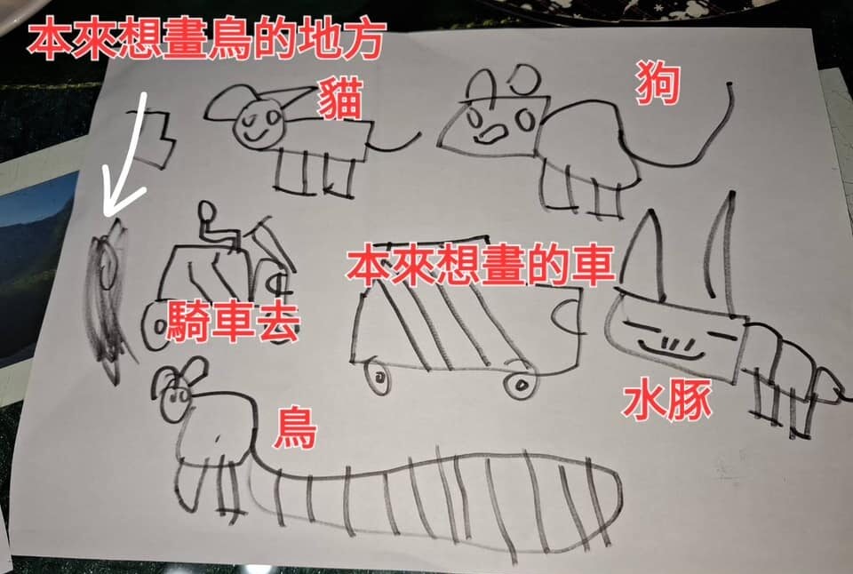 [木偶聊電影]《喵的奇幻漂流》——末日之海中，尋找無聲的羈絆。in89親子影廳，感受溫暖。2025奧斯卡最佳動畫獎。Flow