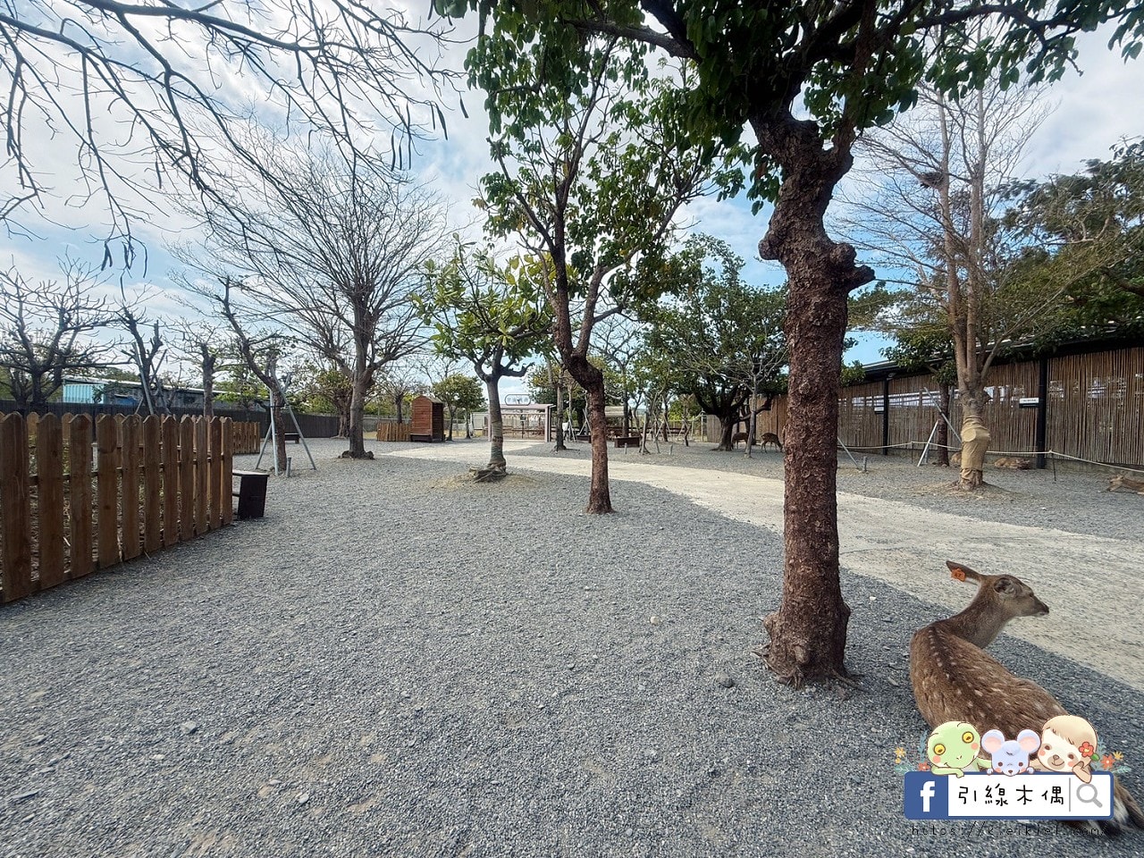親子出遊必收!《鹿境梅花鹿生態園區》最萌親子景點!零距離摸梅花鹿,還有水豚君團團包圍✨墾丁小奈良/門票優惠 - 第28張圖 親子出遊必收!《鹿境梅花鹿生態園區》最萌親子景點!零距離摸梅花鹿,還有水豚君團團包圍✨墾丁小奈良/門票優惠