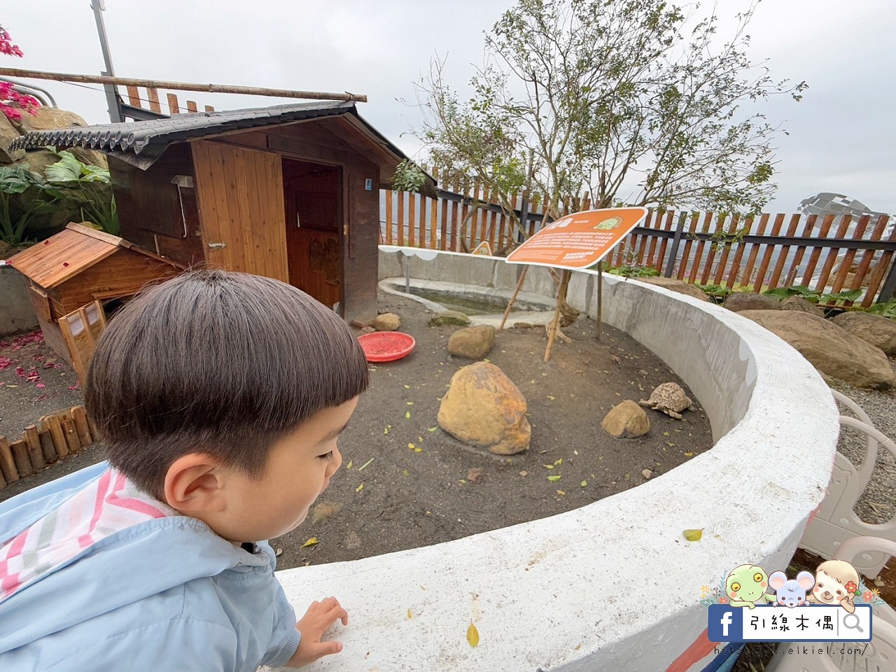 門票全額折抵玩樂免費送!《鹿芝谷生態景觀園區》5大親子亮點,全台少見的多種類萌寵天堂,還有多種DIY多肉遊戲區。水豚、黑鼻羊、梅花鹿、陸龜等。 - 第42張圖 門票全額折抵玩樂免費送!《鹿芝谷生態景觀園區》5大親子亮點,全台少見的多種類萌寵天堂,還有多種DIY多肉遊戲區。水豚、黑鼻羊、梅花鹿、陸龜等。