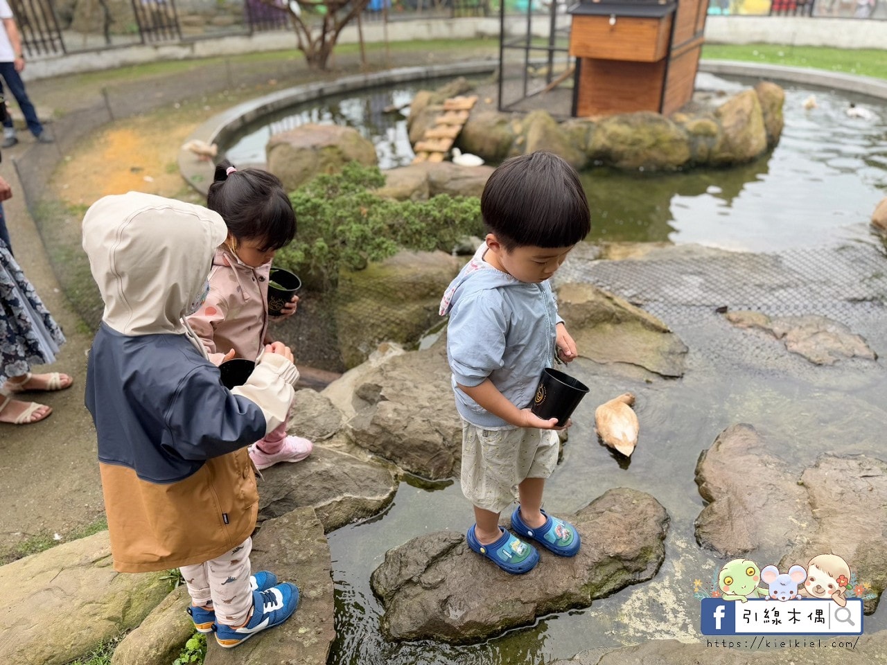 門票全額折抵玩樂免費送!《鹿芝谷生態景觀園區》5大親子亮點,全台少見的多種類萌寵天堂,還有多種DIY多肉遊戲區。水豚、黑鼻羊、梅花鹿、陸龜等。 - 第44張圖 門票全額折抵玩樂免費送!《鹿芝谷生態景觀園區》5大親子亮點,全台少見的多種類萌寵天堂,還有多種DIY多肉遊戲區。水豚、黑鼻羊、梅花鹿、陸龜等。
