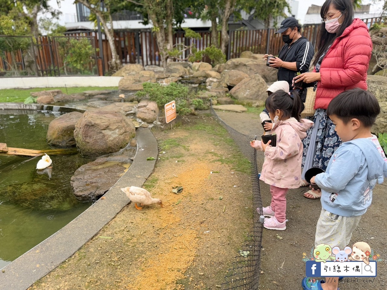 門票全額折抵玩樂免費送!《鹿芝谷生態景觀園區》5大親子亮點,全台少見的多種類萌寵天堂,還有多種DIY多肉遊戲區。水豚、黑鼻羊、梅花鹿、陸龜等。 - 第45張圖 門票全額折抵玩樂免費送!《鹿芝谷生態景觀園區》5大親子亮點,全台少見的多種類萌寵天堂,還有多種DIY多肉遊戲區。水豚、黑鼻羊、梅花鹿、陸龜等。