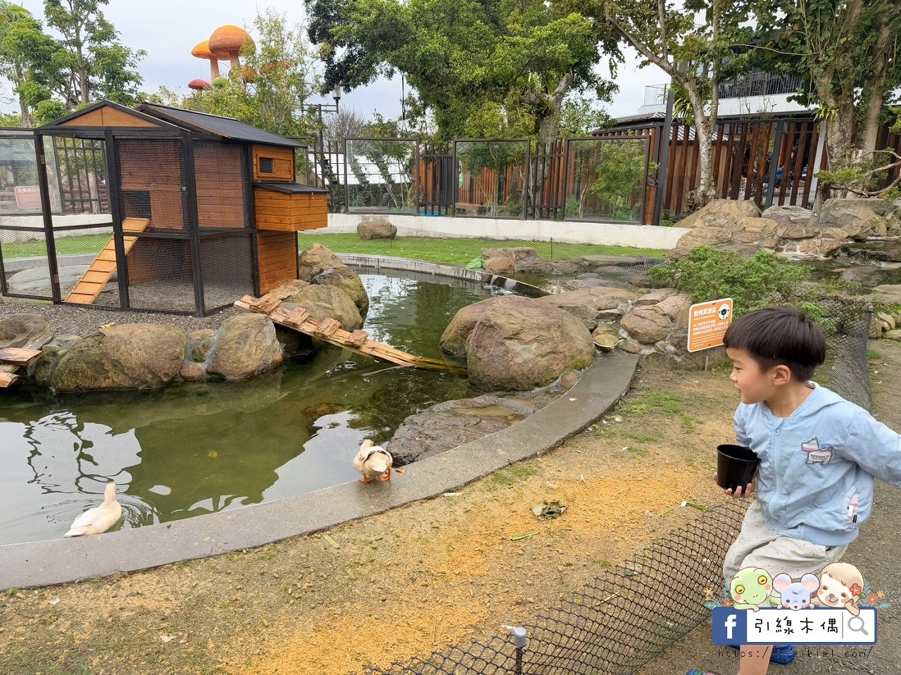 門票全額折抵玩樂免費送!《鹿芝谷生態景觀園區》5大親子亮點,全台少見的多種類萌寵天堂,還有多種DIY多肉遊戲區。水豚、黑鼻羊、梅花鹿、陸龜等。 - 第46張圖 門票全額折抵玩樂免費送!《鹿芝谷生態景觀園區》5大親子亮點,全台少見的多種類萌寵天堂,還有多種DIY多肉遊戲區。水豚、黑鼻羊、梅花鹿、陸龜等。