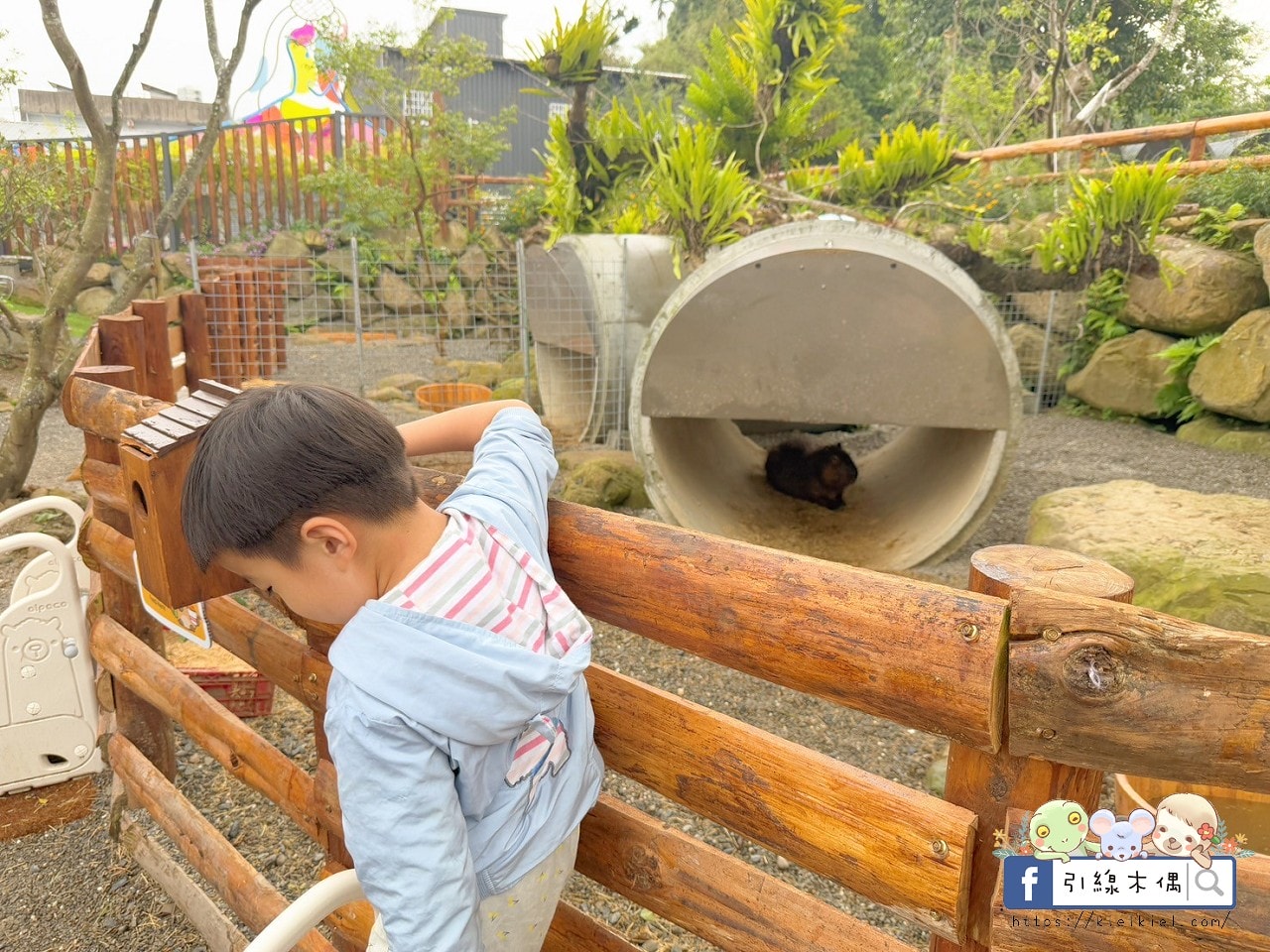 門票全額折抵玩樂免費送!《鹿芝谷生態景觀園區》5大親子亮點,全台少見的多種類萌寵天堂,還有多種DIY多肉遊戲區。水豚、黑鼻羊、梅花鹿、陸龜等。 - 第41張圖 門票全額折抵玩樂免費送!《鹿芝谷生態景觀園區》5大親子亮點,全台少見的多種類萌寵天堂,還有多種DIY多肉遊戲區。水豚、黑鼻羊、梅花鹿、陸龜等。