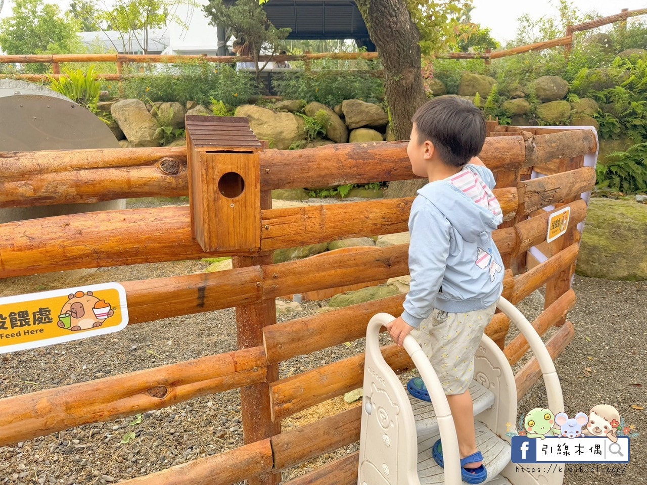 門票全額折抵玩樂免費送!《鹿芝谷生態景觀園區》5大親子亮點,全台少見的多種類萌寵天堂,還有多種DIY多肉遊戲區。水豚、黑鼻羊、梅花鹿、陸龜等。 - 第31張圖 門票全額折抵玩樂免費送!《鹿芝谷生態景觀園區》5大親子亮點,全台少見的多種類萌寵天堂,還有多種DIY多肉遊戲區。水豚、黑鼻羊、梅花鹿、陸龜等。