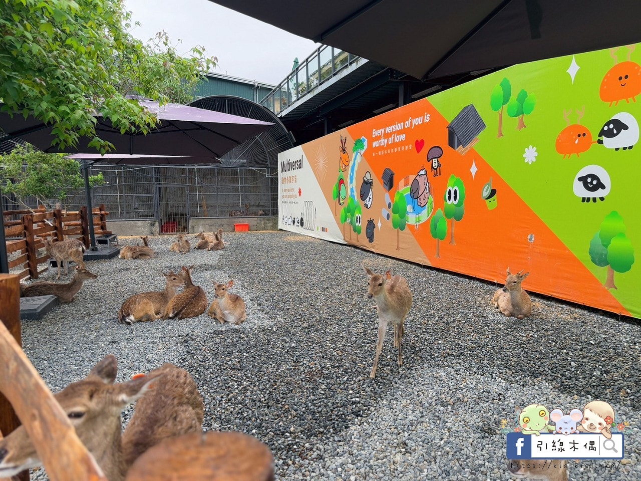 門票全額折抵玩樂免費送!《鹿芝谷生態景觀園區》5大親子亮點,全台少見的多種類萌寵天堂,還有多種DIY多肉遊戲區。水豚、黑鼻羊、梅花鹿、陸龜等。 - 第33張圖 門票全額折抵玩樂免費送!《鹿芝谷生態景觀園區》5大親子亮點,全台少見的多種類萌寵天堂,還有多種DIY多肉遊戲區。水豚、黑鼻羊、梅花鹿、陸龜等。