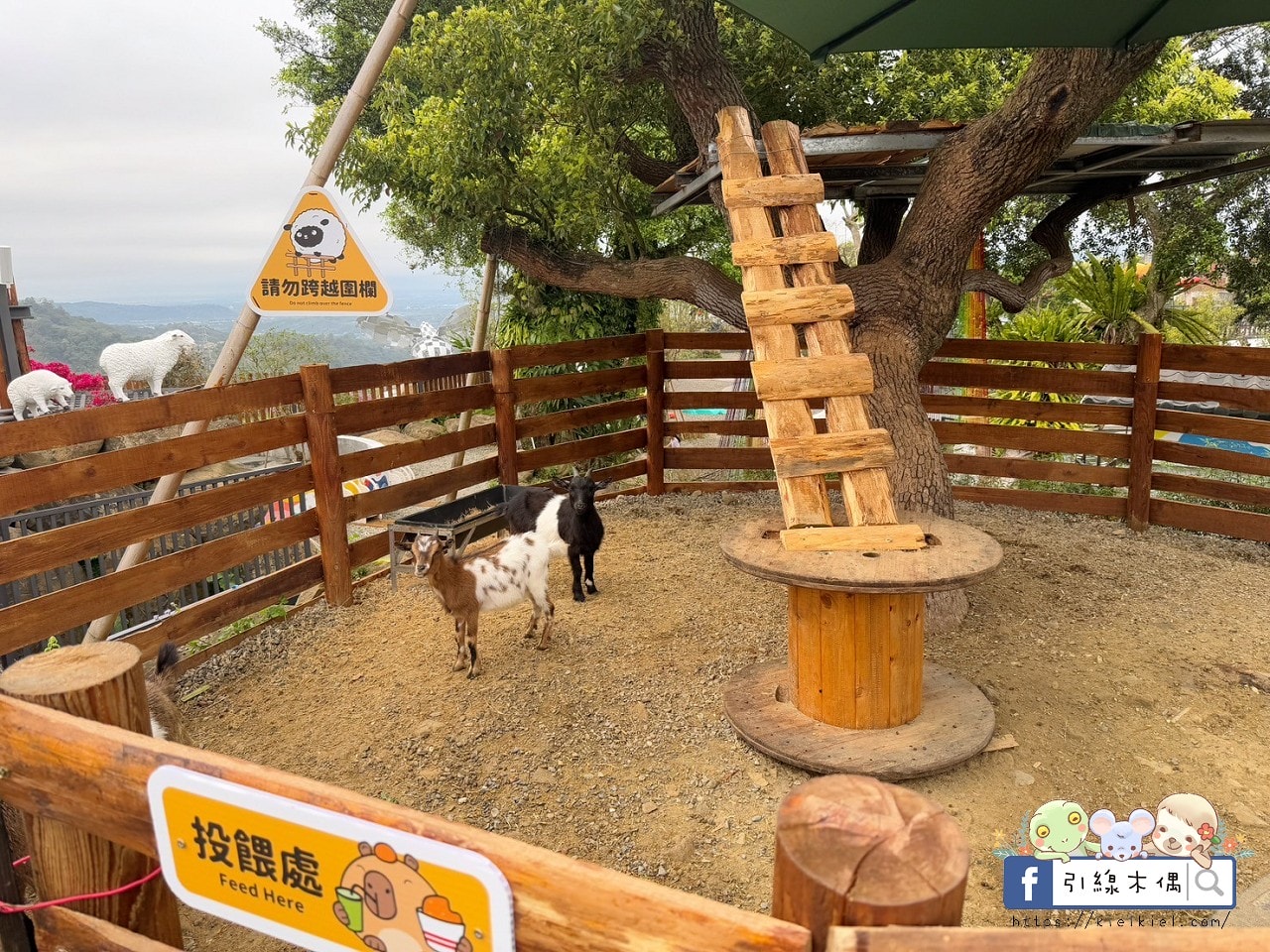 門票全額折抵玩樂免費送!《鹿芝谷生態景觀園區》5大親子亮點,全台少見的多種類萌寵天堂,還有多種DIY多肉遊戲區。水豚、黑鼻羊、梅花鹿、陸龜等。 - 第50張圖 門票全額折抵玩樂免費送!《鹿芝谷生態景觀園區》5大親子亮點,全台少見的多種類萌寵天堂,還有多種DIY多肉遊戲區。水豚、黑鼻羊、梅花鹿、陸龜等。