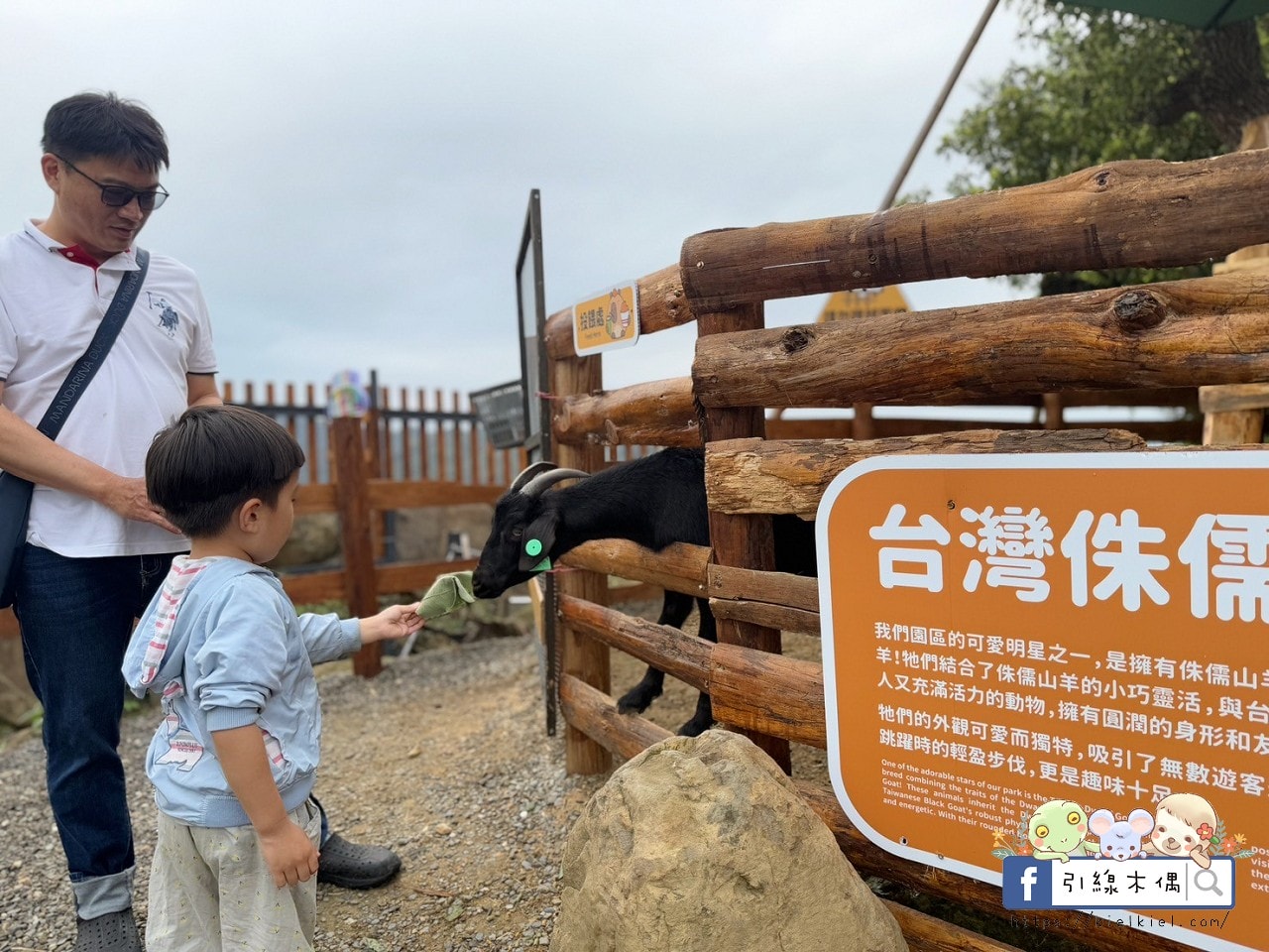 門票全額折抵玩樂免費送!《鹿芝谷生態景觀園區》5大親子亮點,全台少見的多種類萌寵天堂,還有多種DIY多肉遊戲區。水豚、黑鼻羊、梅花鹿、陸龜等。 - 第51張圖 門票全額折抵玩樂免費送!《鹿芝谷生態景觀園區》5大親子亮點,全台少見的多種類萌寵天堂,還有多種DIY多肉遊戲區。水豚、黑鼻羊、梅花鹿、陸龜等。