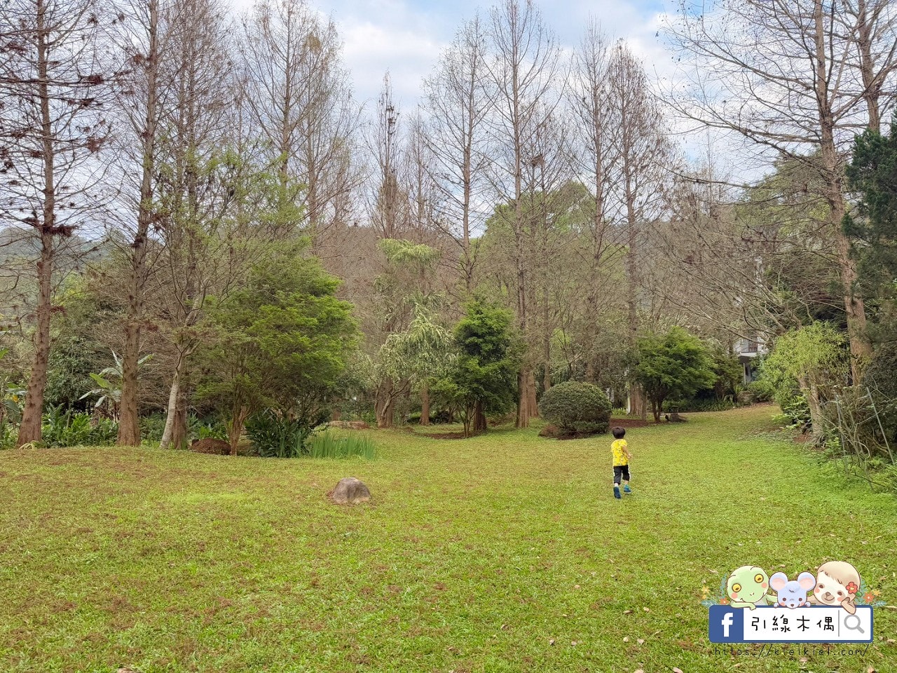 來這裡過一場童話夢？每週只開放4天，《慎重開華莊園民宿》住進落羽松森林的純白玻璃屋，呢喃慢下來的時間詩意。