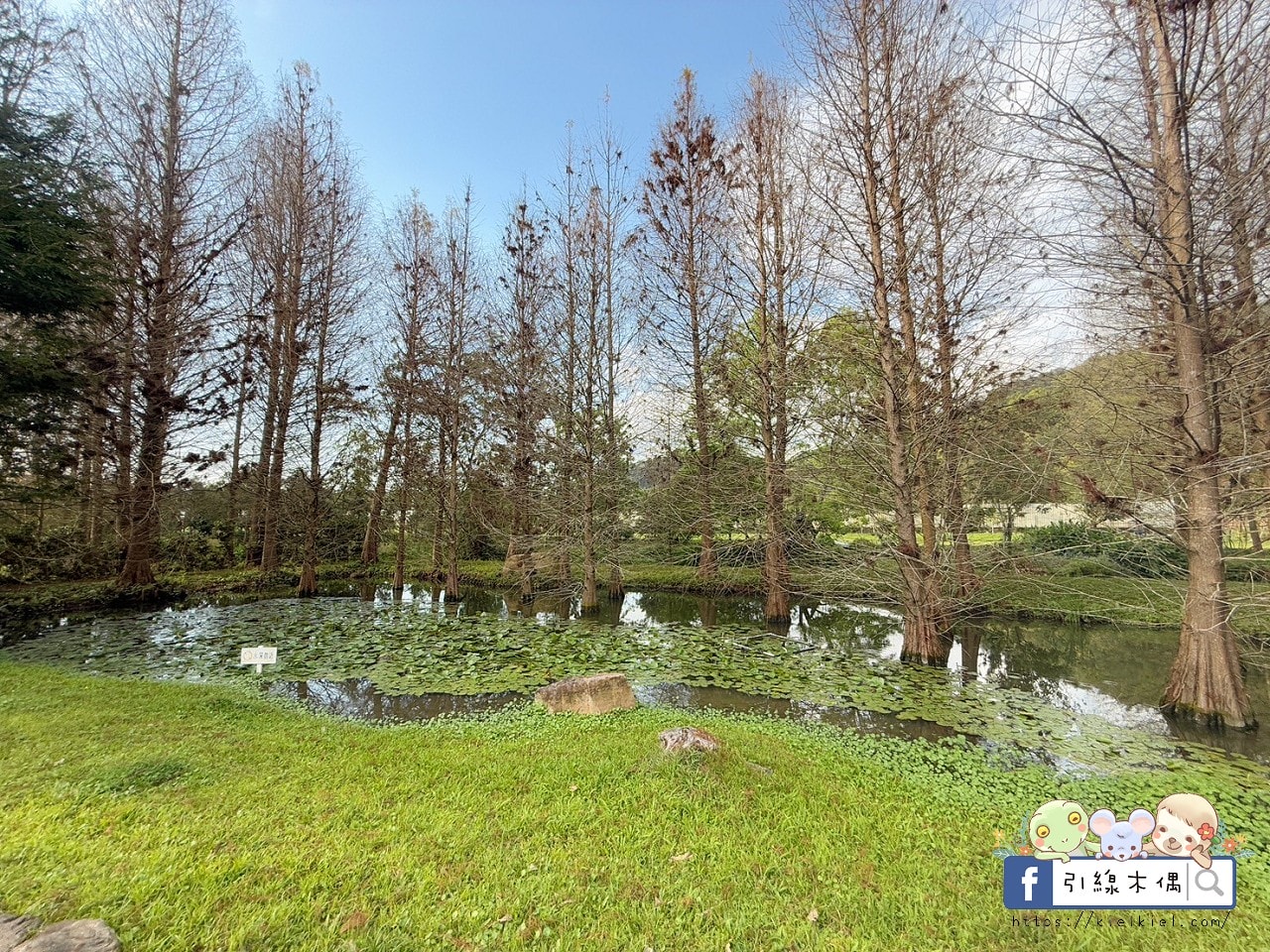 來這裡過一場童話夢？每週只開放4天，《慎重開華莊園民宿》住進落羽松森林的純白玻璃屋，呢喃慢下來的時間詩意。