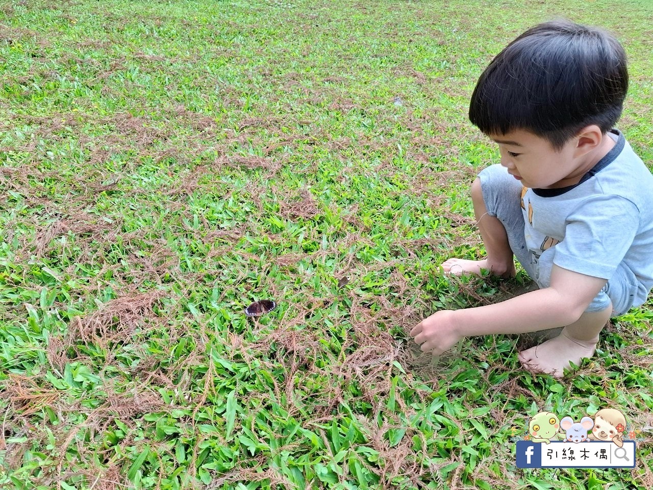 來這裡過一場童話夢？每週只開放4天，《慎重開華莊園民宿》住進落羽松森林的純白玻璃屋，呢喃慢下來的時間詩意。