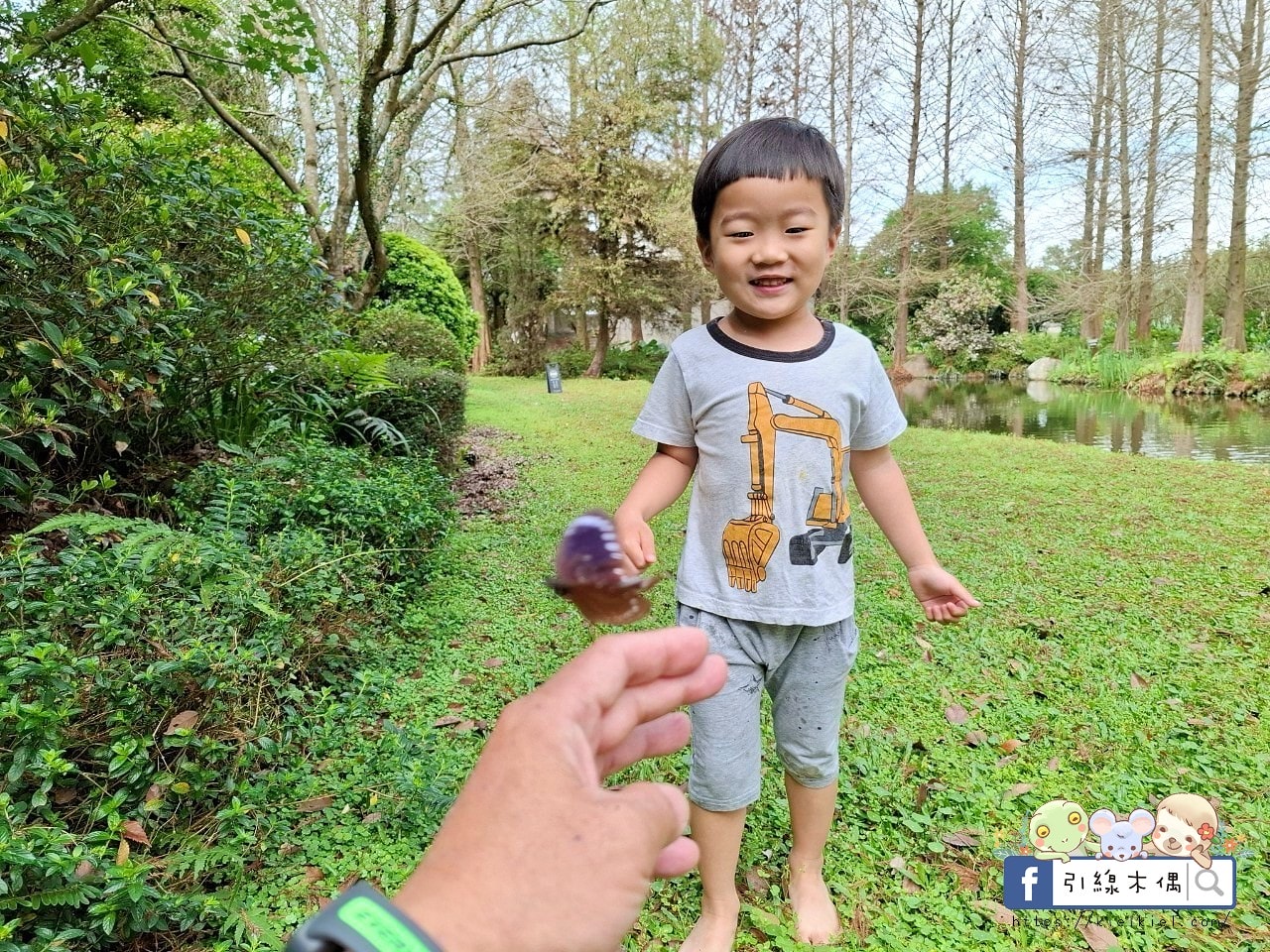 來這裡過一場童話夢？每週只開放4天，《慎重開華莊園民宿》住進落羽松森林的純白玻璃屋，呢喃慢下來的時間詩意。