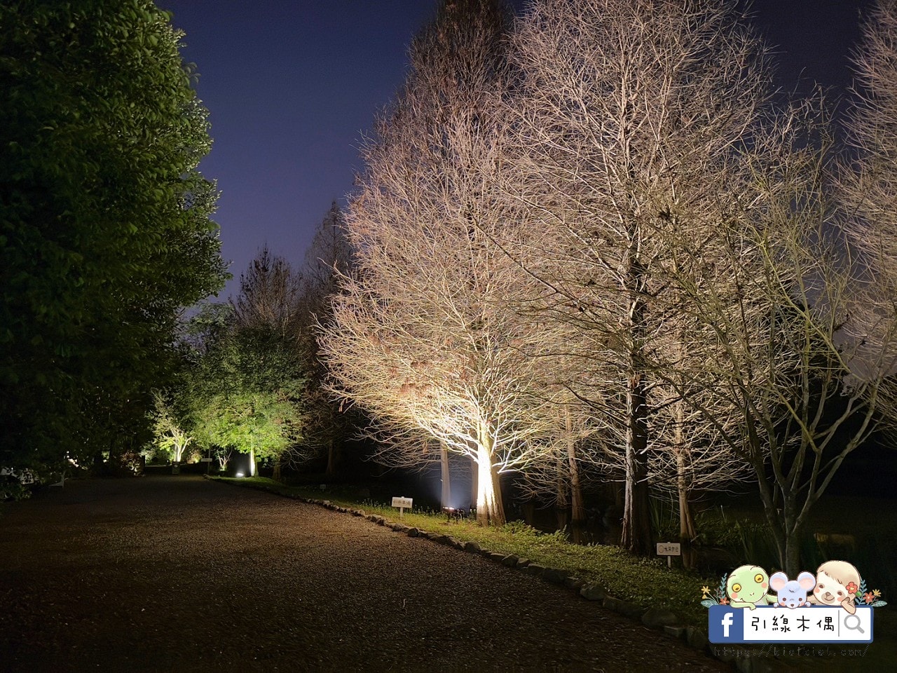 來這裡過一場童話夢？每週只開放4天，《慎重開華莊園民宿》住進落羽松森林的純白玻璃屋，呢喃慢下來的時間詩意。