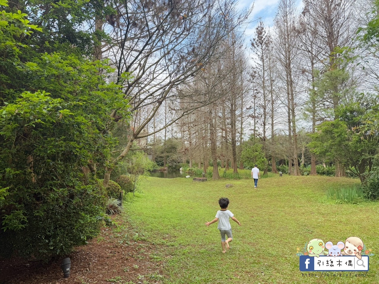 來這裡過一場童話夢？每週只開放4天，《慎重開華莊園民宿》住進落羽松森林的純白玻璃屋，呢喃慢下來的時間詩意。