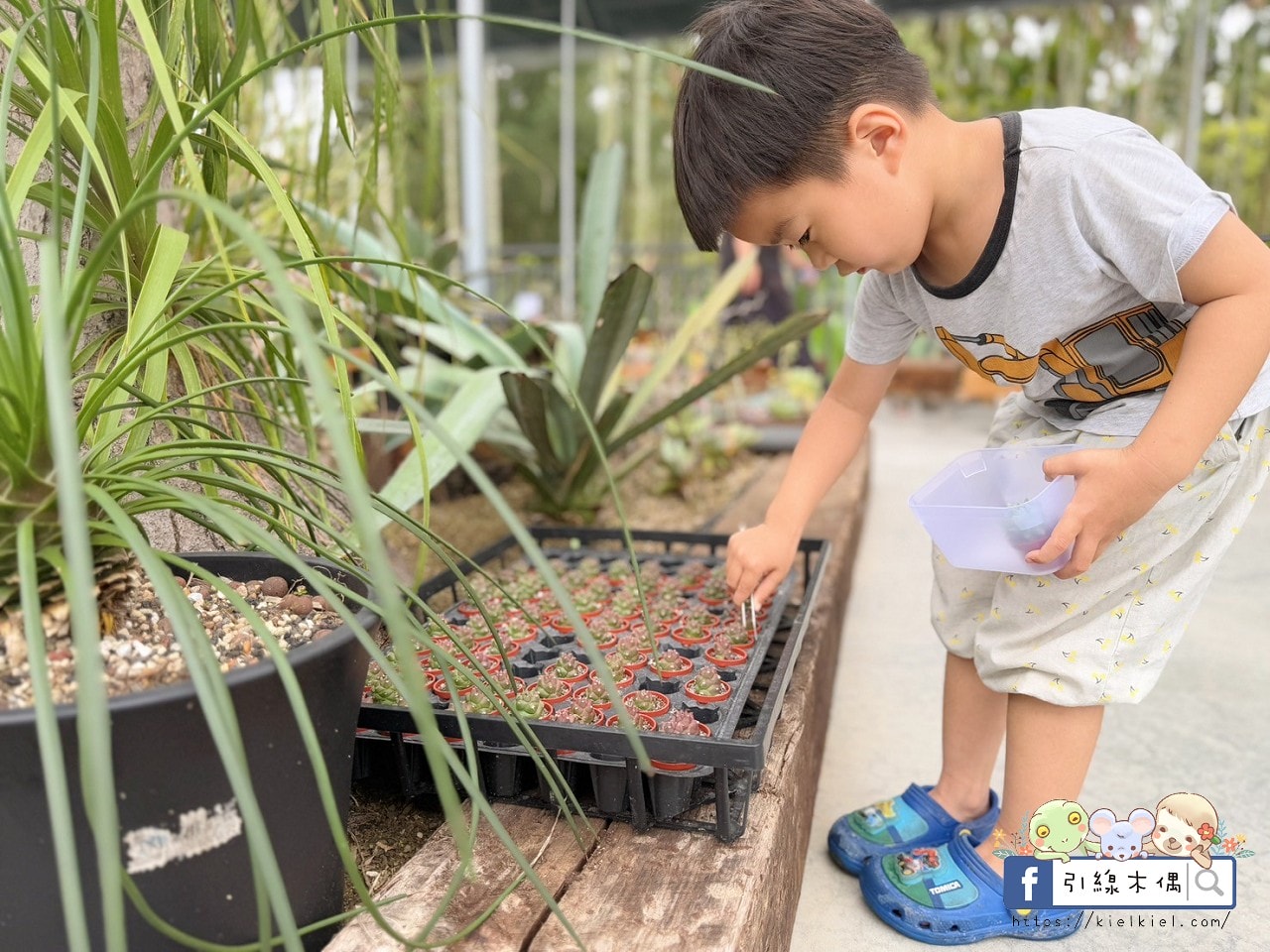門票全額折抵玩樂免費送!《鹿芝谷生態景觀園區》5大親子亮點,全台少見的多種類萌寵天堂,還有多種DIY多肉遊戲區。水豚、黑鼻羊、梅花鹿、陸龜等。 - 第62張圖 門票全額折抵玩樂免費送!《鹿芝谷生態景觀園區》5大親子亮點,全台少見的多種類萌寵天堂,還有多種DIY多肉遊戲區。水豚、黑鼻羊、梅花鹿、陸龜等。