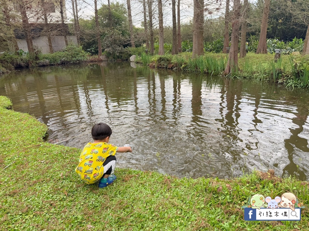 來這裡過一場童話夢？每週只開放4天，《慎重開華莊園民宿》住進落羽松森林的純白玻璃屋，呢喃慢下來的時間詩意。