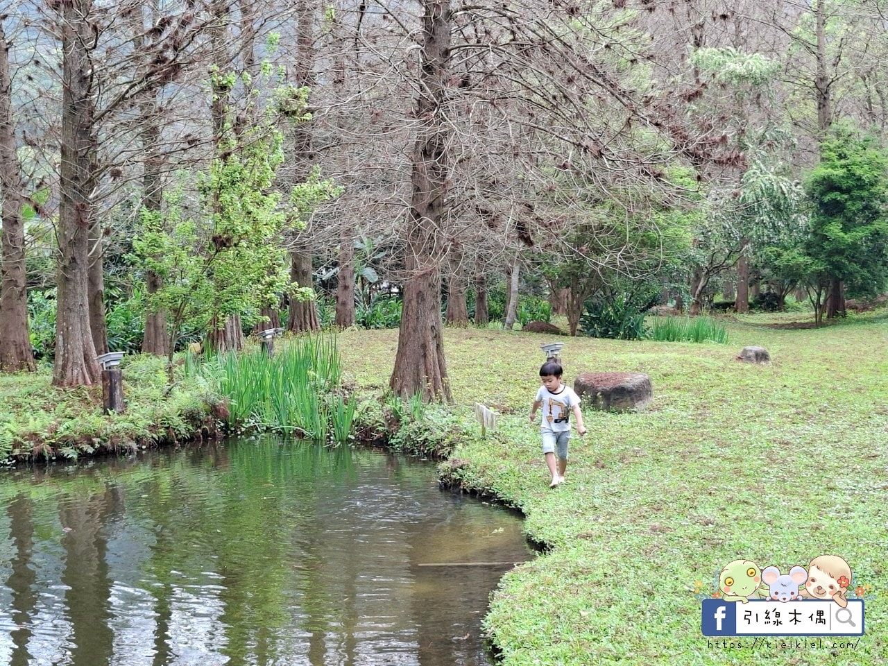 來這裡過一場童話夢？每週只開放4天，《慎重開華莊園民宿》住進落羽松森林的純白玻璃屋，呢喃慢下來的時間詩意。