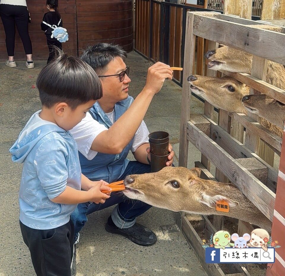 親子出遊必收!《鹿境梅花鹿生態園區》最萌親子景點!零距離摸梅花鹿,還有水豚君團團包圍✨墾丁小奈良/門票優惠 - 第25張圖 親子出遊必收!《鹿境梅花鹿生態園區》最萌親子景點!零距離摸梅花鹿,還有水豚君團團包圍✨墾丁小奈良/門票優惠