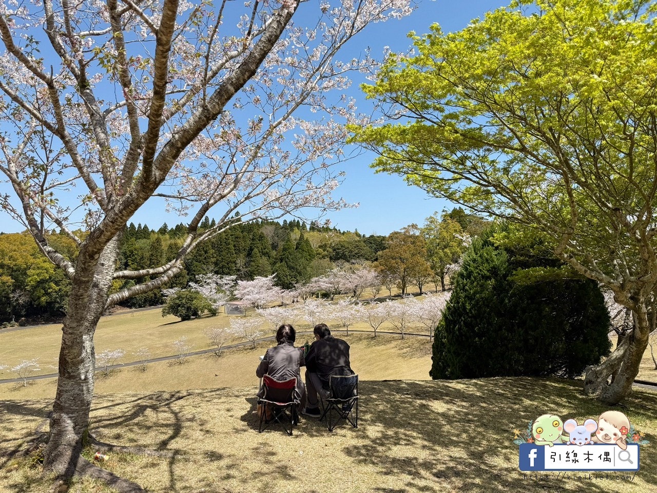 6天5夜郵輪值得搭嗎？《麗星郵輪探索星號》鹿兒島熊本那霸行程開箱！7大亮點輕鬆玩？設施、餐點、行程全攻略懶人包！