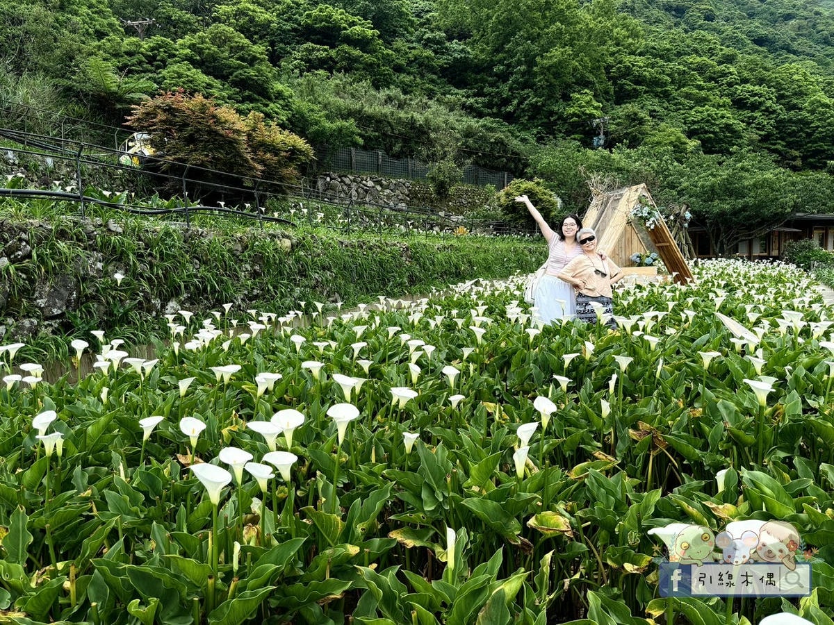 北投晶泉丰旅×高鐵飯店聯票專案=最強泡湯攻略?這6點告訴你值不值得!雙湯池、HAPPY HOUR暢飲、日系早餐等,新北投捷運站步行3分鐘。 - 第99張圖 北投晶泉丰旅×高鐵飯店聯票專案=最強泡湯攻略?這6點告訴你值不值得!雙湯池、HAPPY HOUR暢飲、日系早餐等,新北投捷運站步行3分鐘。