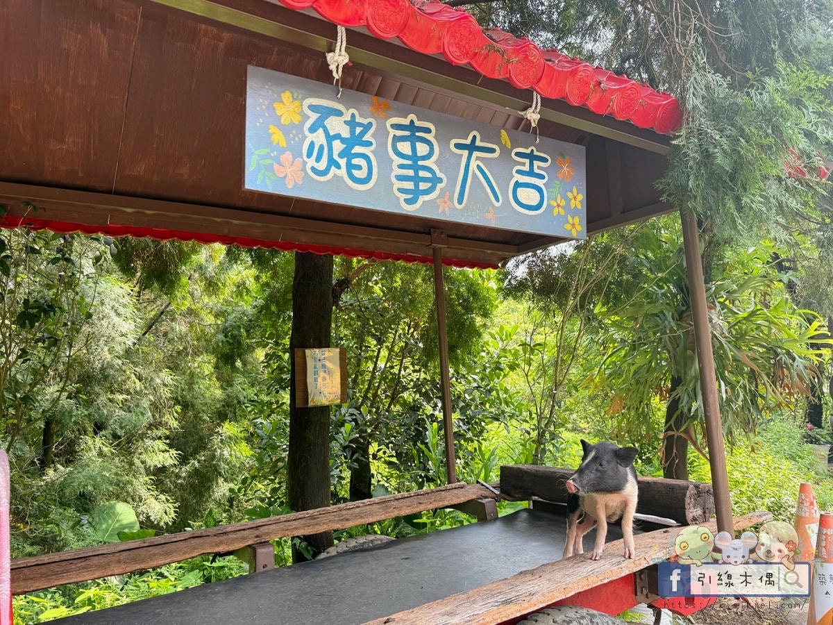 《築夢森居》必玩活動TOP5是?嘉義露營推薦!親子評價&住宿攻略一次看。漂漂河還有10多種活動~放電玩翻夏季! - 第112張圖 《築夢森居》必玩活動TOP5是?嘉義露營推薦!親子評價&住宿攻略一次看。漂漂河還有10多種活動~放電玩翻夏季!