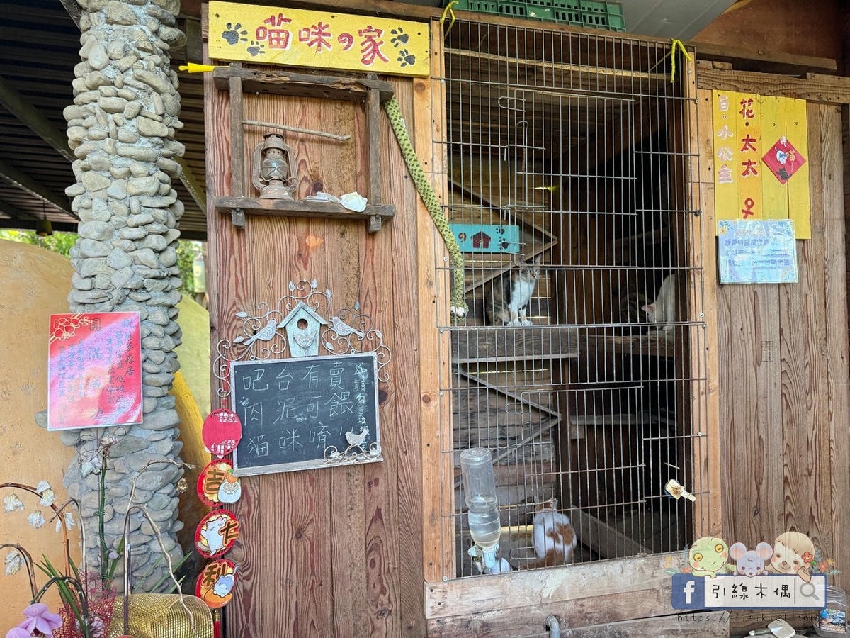 《築夢森居》必玩活動TOP5是?嘉義露營推薦!親子評價&住宿攻略一次看。漂漂河還有10多種活動~放電玩翻夏季! - 第12張圖 《築夢森居》必玩活動TOP5是?嘉義露營推薦!親子評價&住宿攻略一次看。漂漂河還有10多種活動~放電玩翻夏季!
