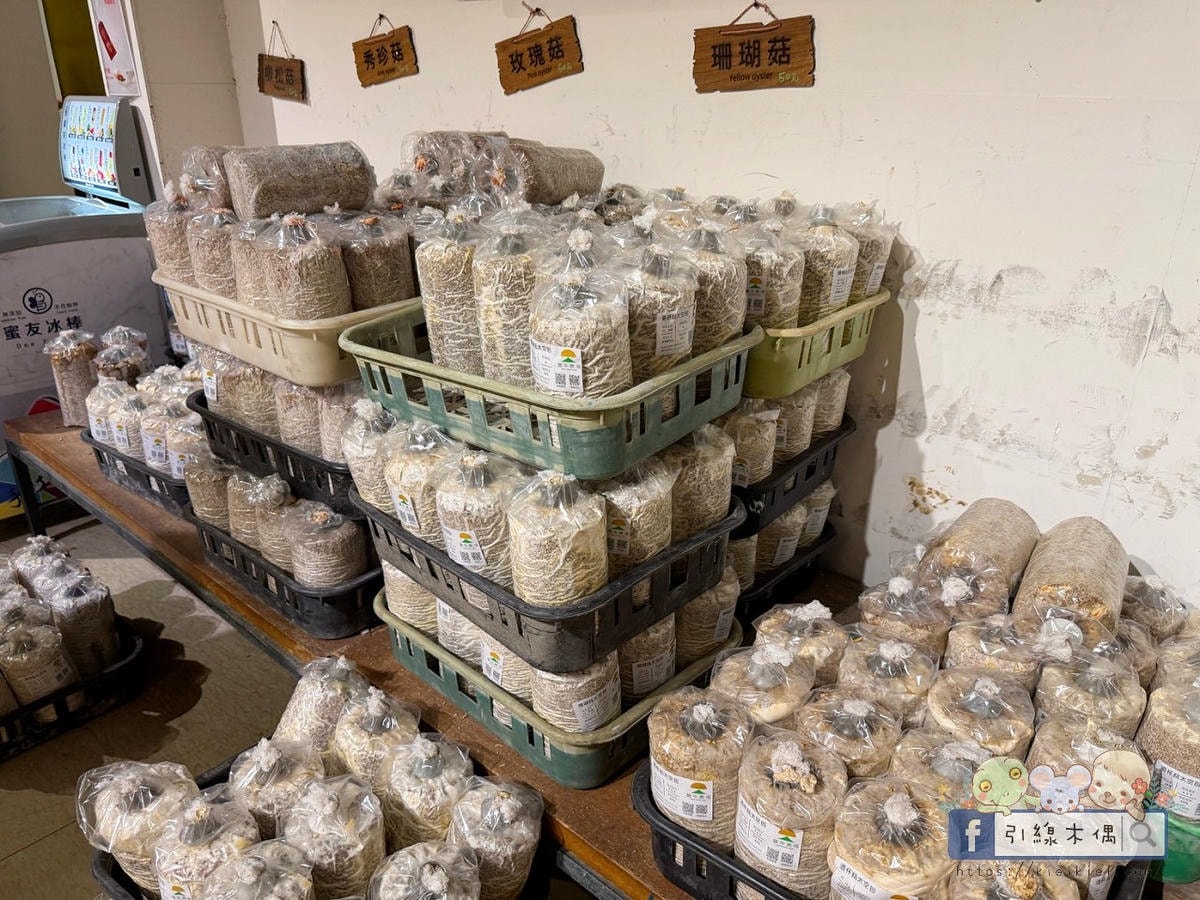 變身小小菇農!免門票景點曝光,《豐年農場》帶孩子採菇、烤菇、生態瓶DIY一次滿足! - 第61張圖 豐年農場