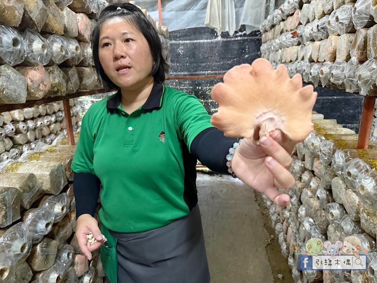 變身小小菇農!免門票景點曝光,《豐年農場》帶孩子採菇、烤菇、生態瓶DIY一次滿足! - 第37張圖 變身小小菇農!免門票景點曝光,《豐年農場》帶孩子採菇、烤菇、生態瓶DIY一次滿足!