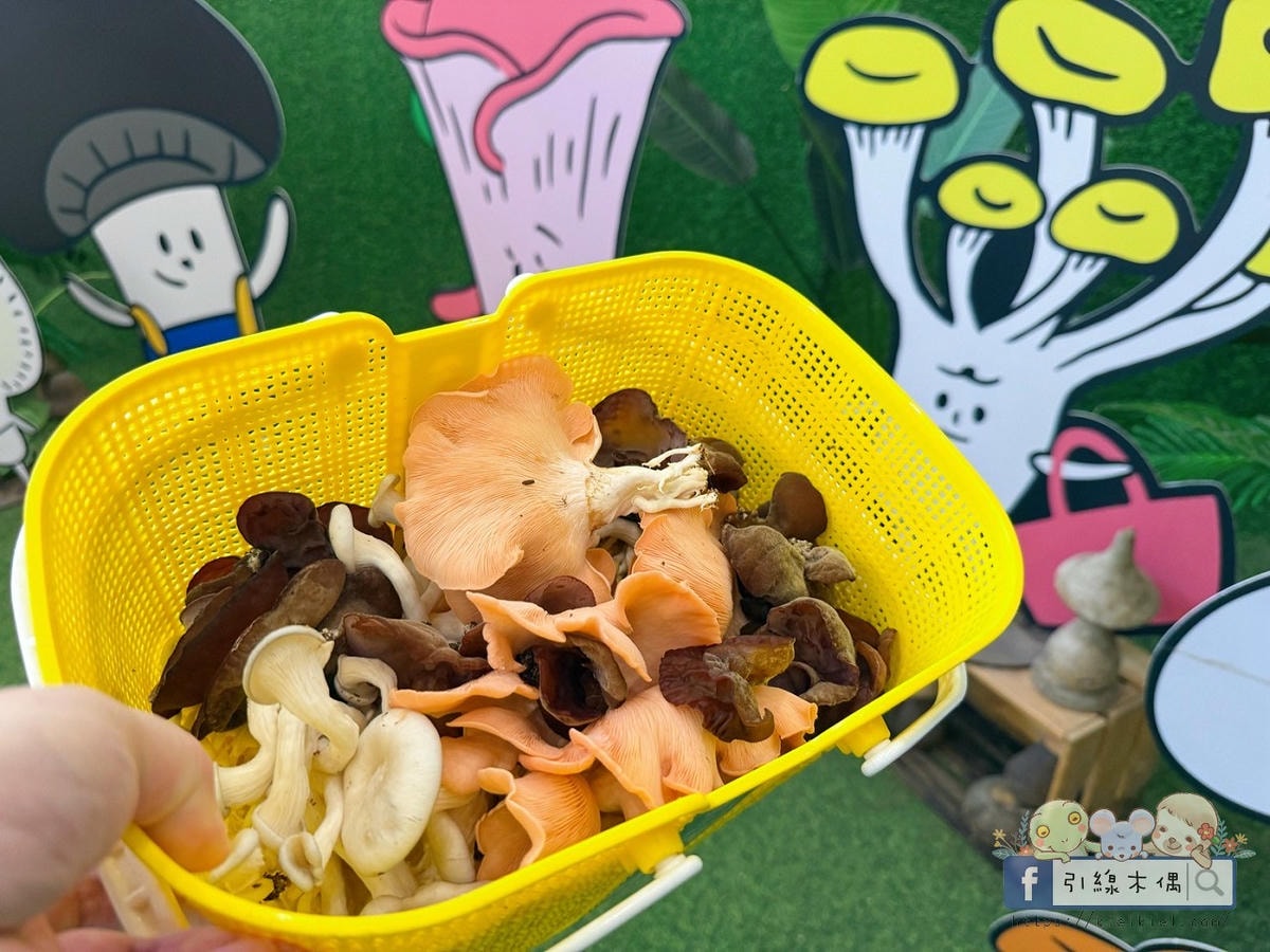 變身小小菇農!免門票景點曝光,《豐年農場》帶孩子採菇、烤菇、生態瓶DIY一次滿足! - 第48張圖 變身小小菇農!免門票景點曝光,《豐年農場》帶孩子採菇、烤菇、生態瓶DIY一次滿足!
