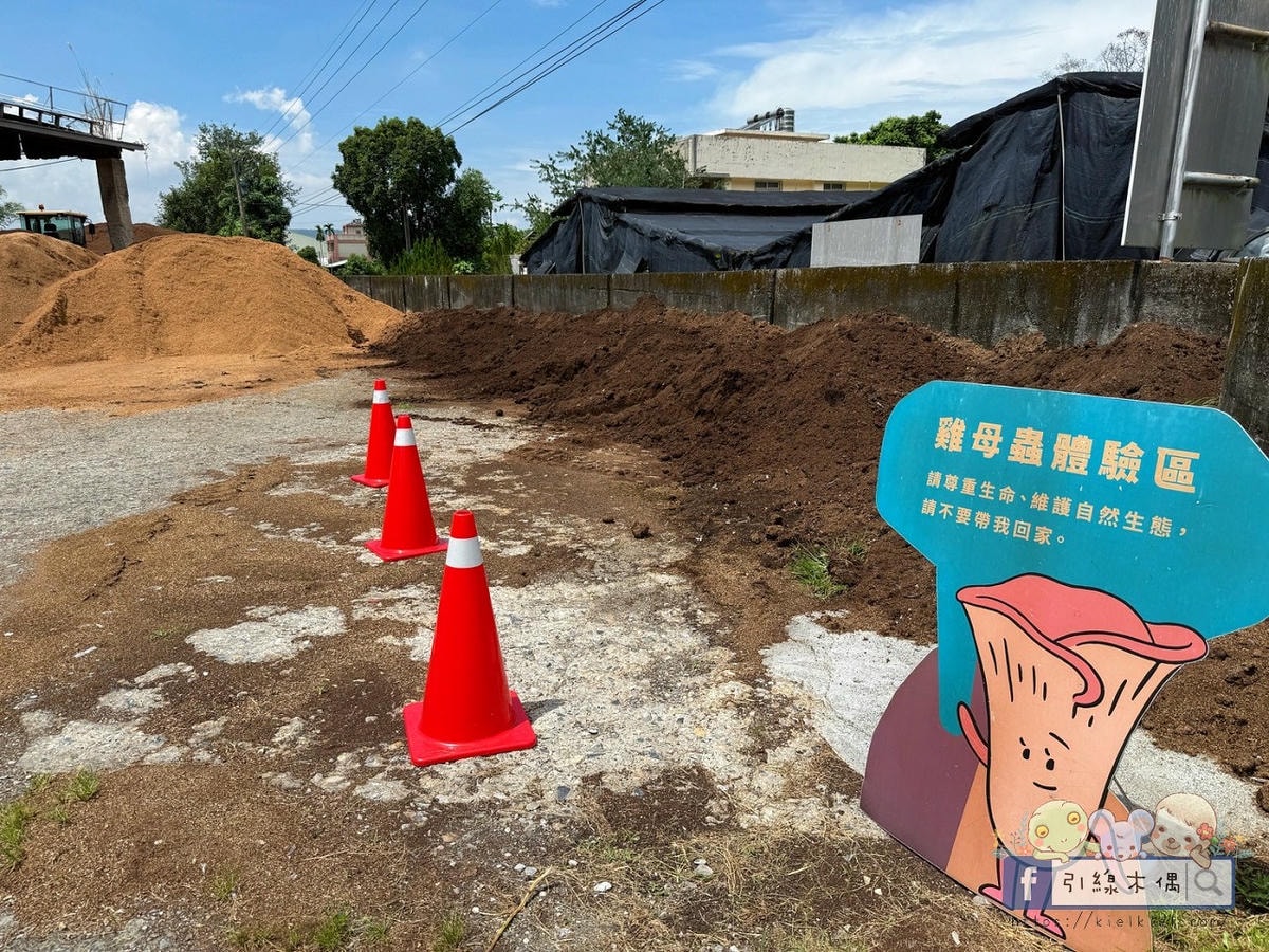 變身小小菇農!免門票景點曝光,《豐年農場》帶孩子採菇、烤菇、生態瓶DIY一次滿足! - 第9張圖 變身小小菇農!免門票景點曝光,《豐年農場》帶孩子採菇、烤菇、生態瓶DIY一次滿足!
