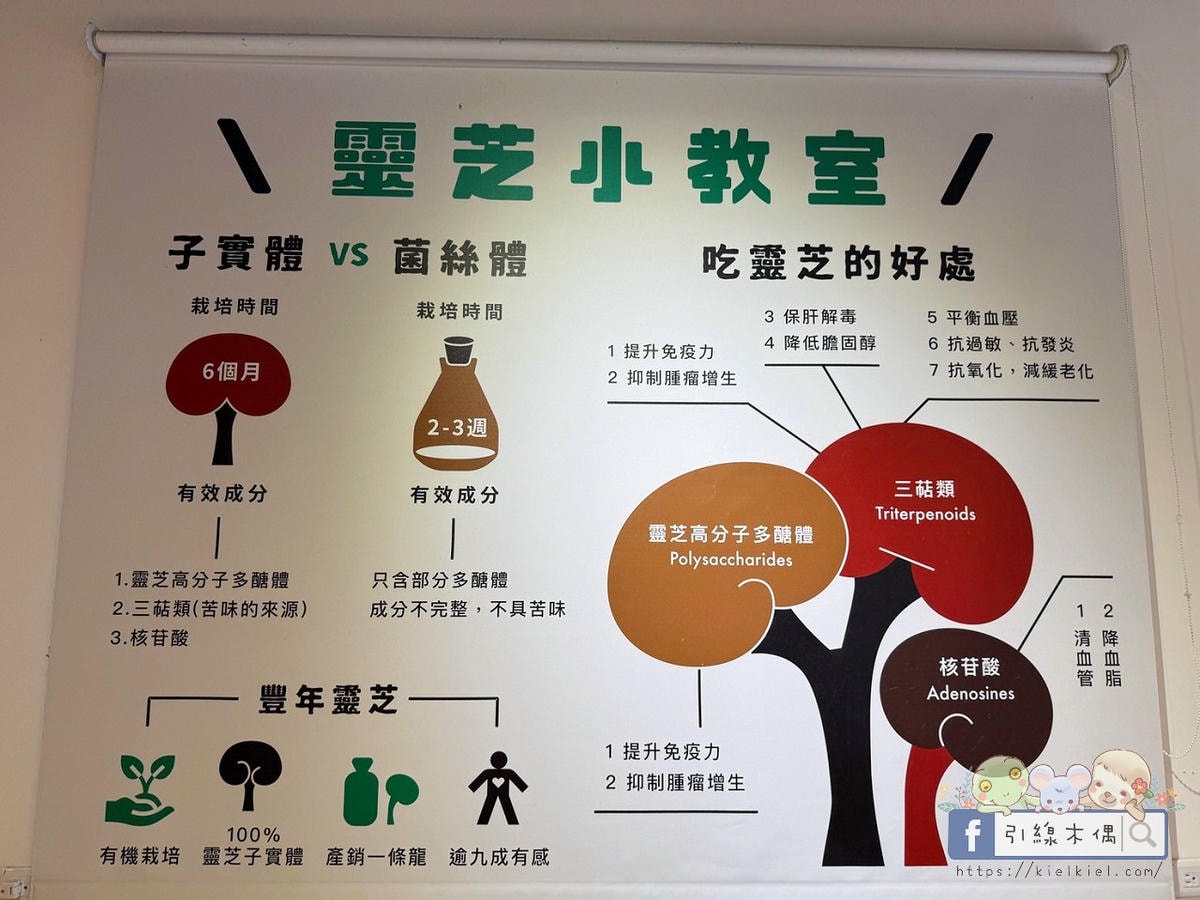 變身小小菇農!免門票景點曝光,《豐年農場》帶孩子採菇、烤菇、生態瓶DIY一次滿足! - 第23張圖 變身小小菇農!免門票景點曝光,《豐年農場》帶孩子採菇、烤菇、生態瓶DIY一次滿足!