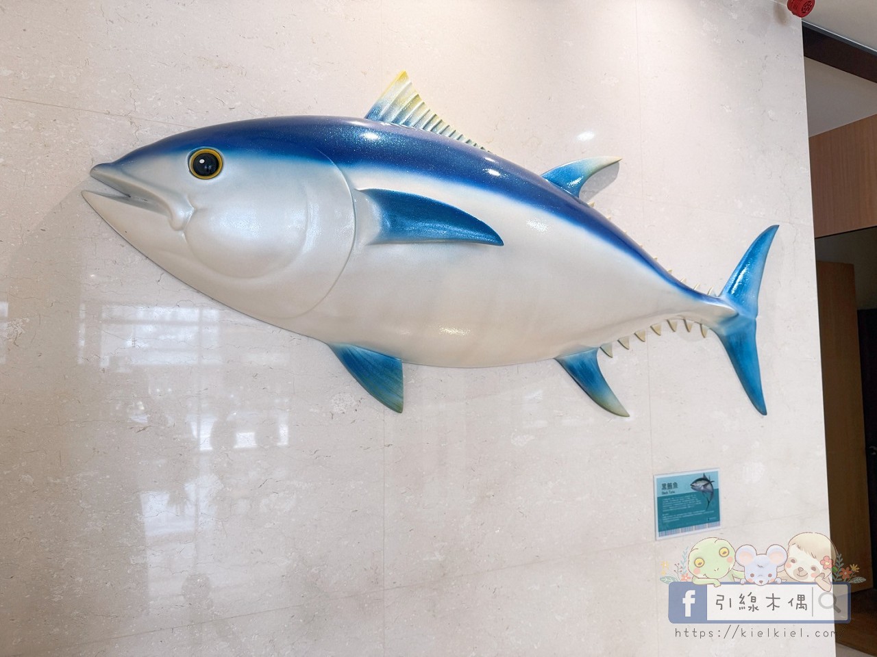 鮪魚家族高雄館