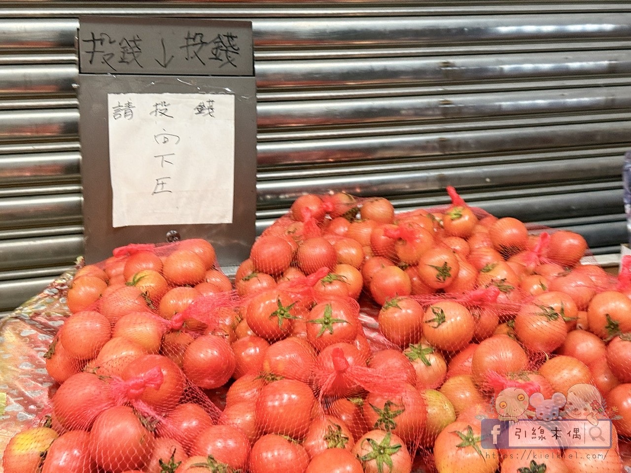 最強溫泉CP值!1800元泡冬天的湯?《東光行旅》還附下午茶跟早餐!山景大眾湯跟全新翻修屋內湯太讚! - 第51張圖 最強溫泉CP值!1800元泡冬天的湯?《東光行旅》還附下午茶跟早餐!山景大眾湯跟全新翻修屋內湯太讚!