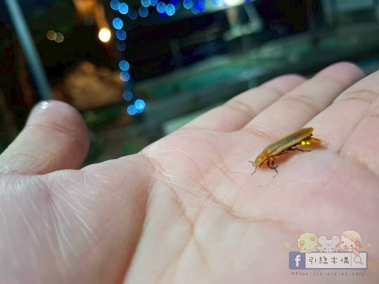 最強溫泉CP值!1800元泡冬天的湯?《東光行旅》還附下午茶跟早餐!山景大眾湯跟全新翻修屋內湯太讚! - 第20張圖 東光行旅