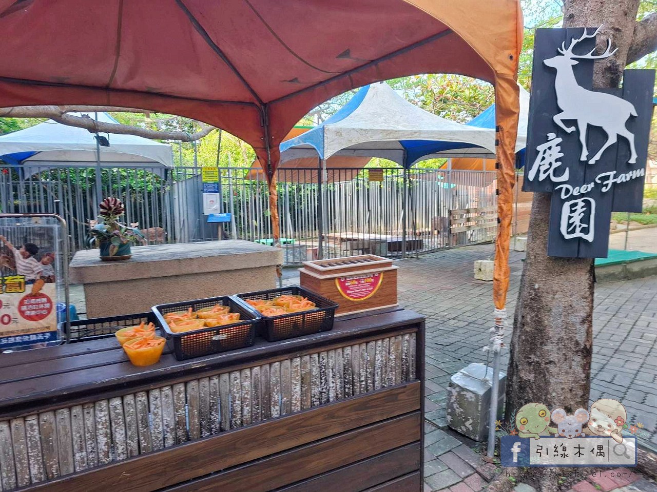 誰說墾丁只能夏天去？冬季入住《墾丁福華渡假飯店》8 個關鍵理由 ，不開車「高鐵聯票專案」帶你輕鬆直達！