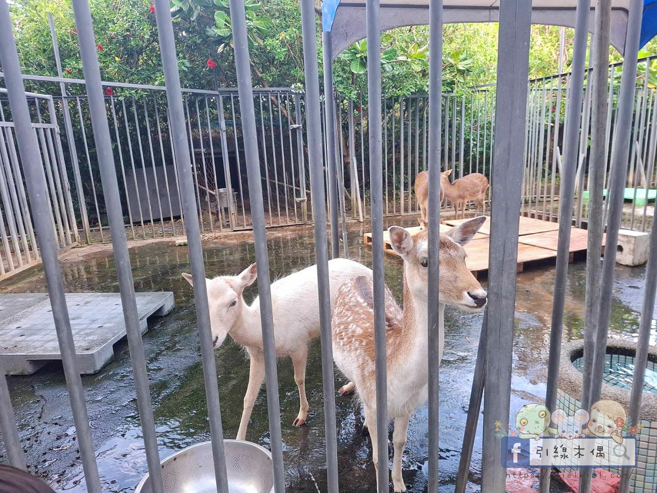 誰說墾丁只能夏天去？冬季入住《墾丁福華渡假飯店》8 個關鍵理由 ，不開車「高鐵聯票專案」帶你輕鬆直達！