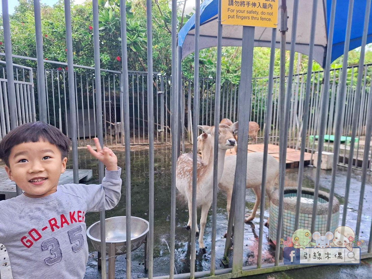 誰說墾丁只能夏天去？冬季入住《墾丁福華渡假飯店》8 個關鍵理由 ，不開車「高鐵聯票專案」帶你輕鬆直達！