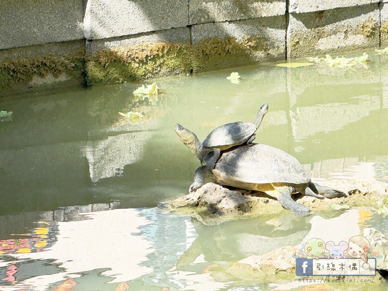 誰說墾丁只能夏天去？冬季入住《墾丁福華渡假飯店》8 個關鍵理由 ，不開車「高鐵聯票專案」帶你輕鬆直達！