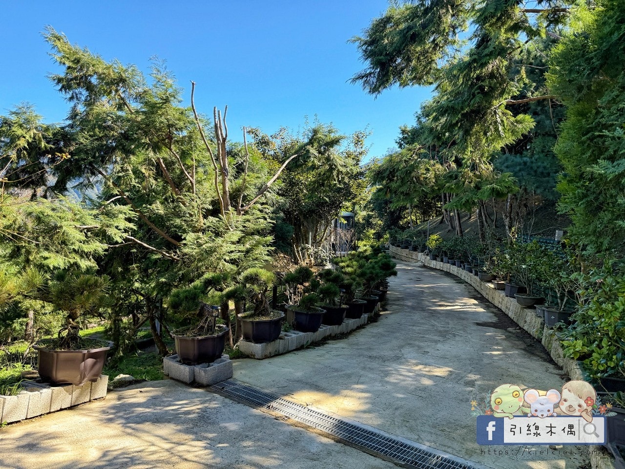 是住宿還是宇宙體驗?全高科技互動雲海房《數碼天空太空艙》一泊二食,8個神奇瞬間! - 第16張圖 是住宿還是宇宙體驗?全高科技互動雲海房《數碼天空太空艙》一泊二食,8個神奇瞬間!