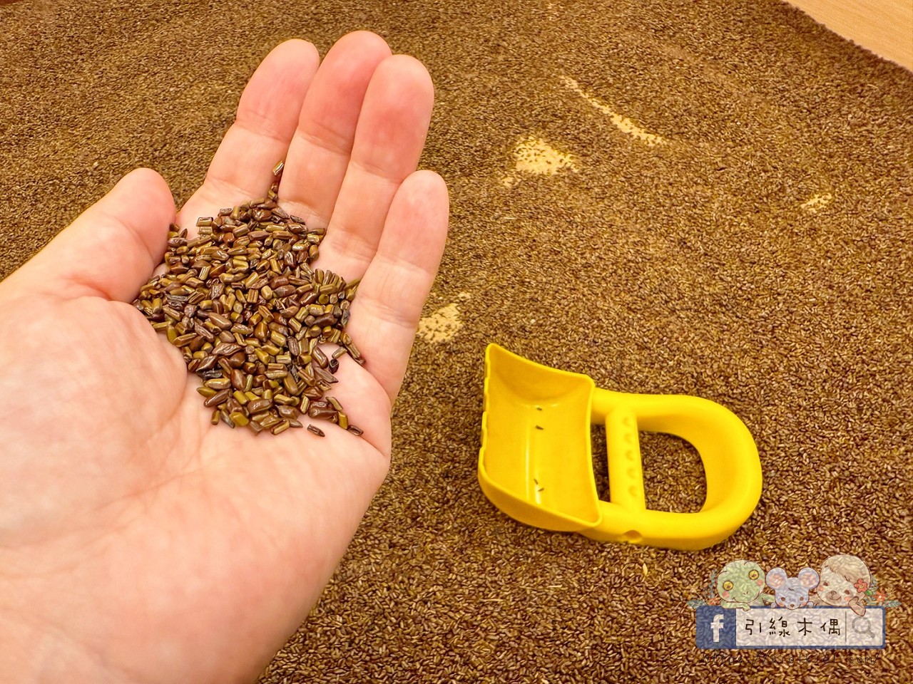 這間飯店竟然有「正式圖書館」?實住《捷絲旅花蓮中正館》3 大必住理由:親子房、行政套房與景隅套房房型評比,還有免排隊公正包子! - 第15張圖 這間飯店竟然有「正式圖書館」?實住《捷絲旅花蓮中正館》3 大必住理由:親子房、行政套房與景隅套房房型評比,還有免排隊公正包子!