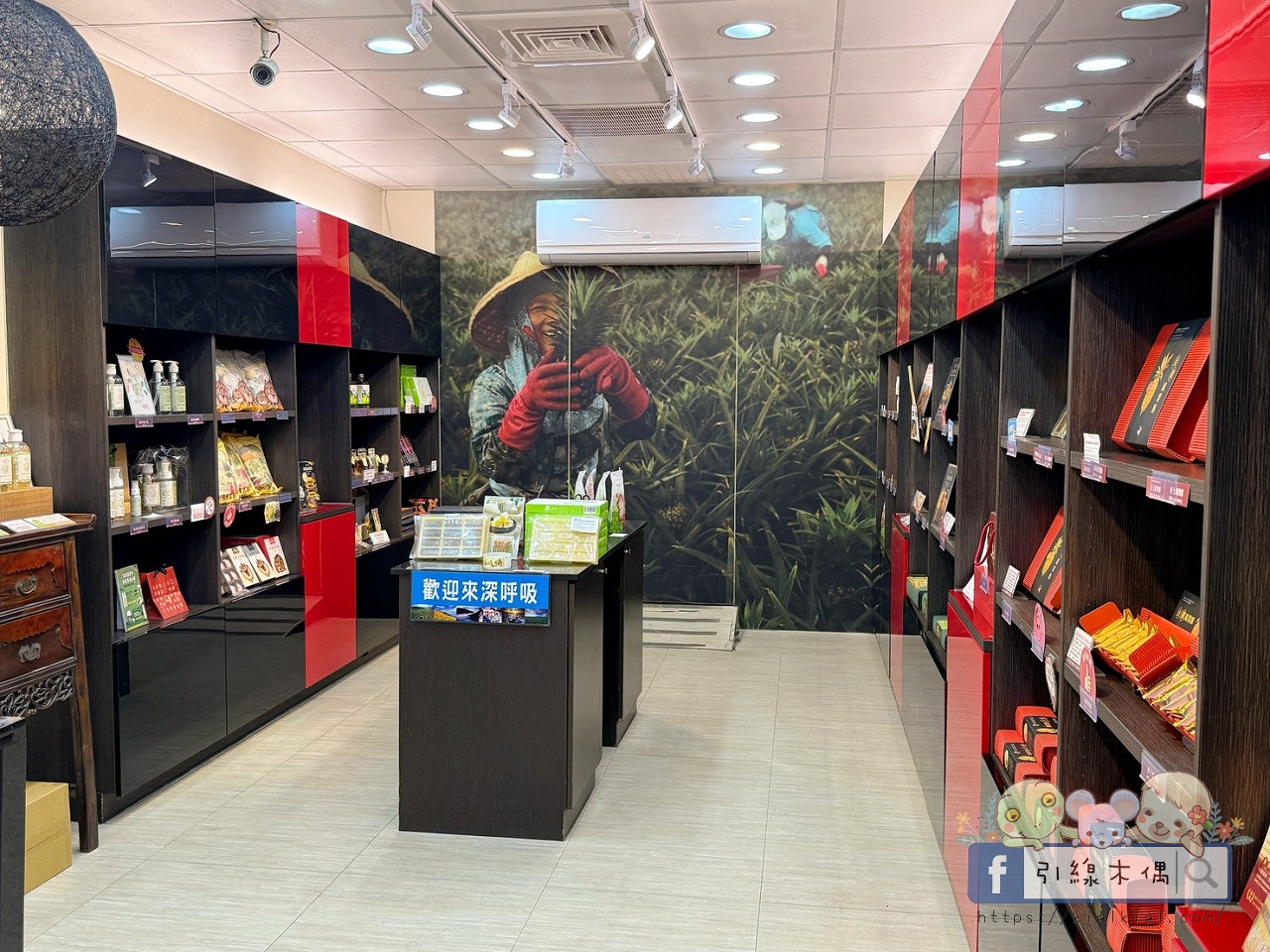 當剝皮辣椒遇見鳳梨酥?花蓮必買就是要老牌經典又創意飛躍!走進洄瀾薯道、鳳梨灣、文旦復興,重新定義花蓮伴手禮! - 第15張圖 當剝皮辣椒遇見鳳梨酥?花蓮必買就是要老牌經典又創意飛躍!走進洄瀾薯道、鳳梨灣、文旦復興,重新定義花蓮伴手禮!