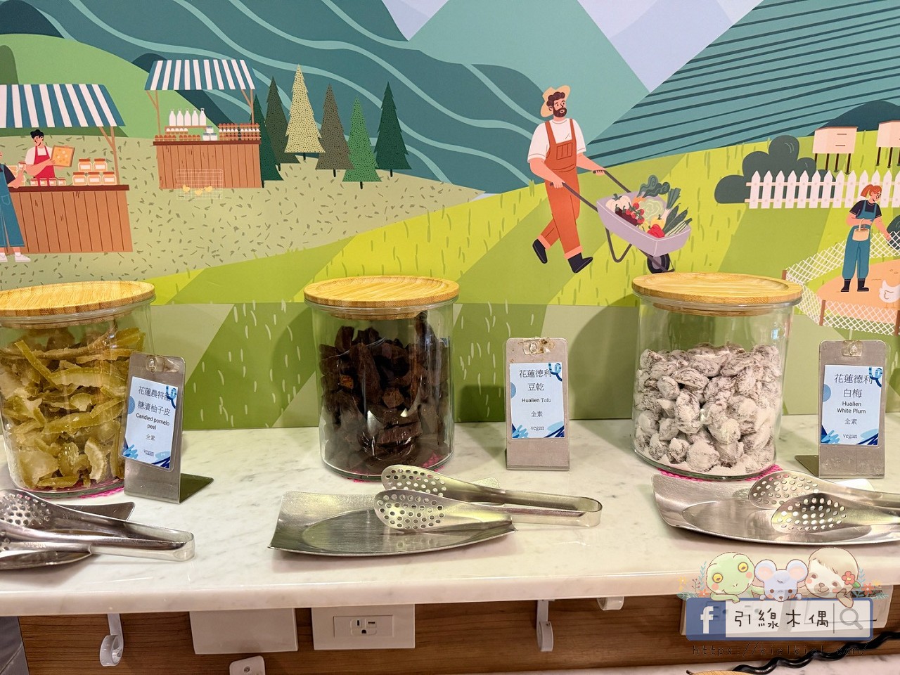 這間飯店竟然有「正式圖書館」?實住《捷絲旅花蓮中正館》3 大必住理由:親子房、行政套房與景隅套房房型評比,還有免排隊公正包子! - 第62張圖 這間飯店竟然有「正式圖書館」?實住《捷絲旅花蓮中正館》3 大必住理由:親子房、行政套房與景隅套房房型評比,還有免排隊公正包子!